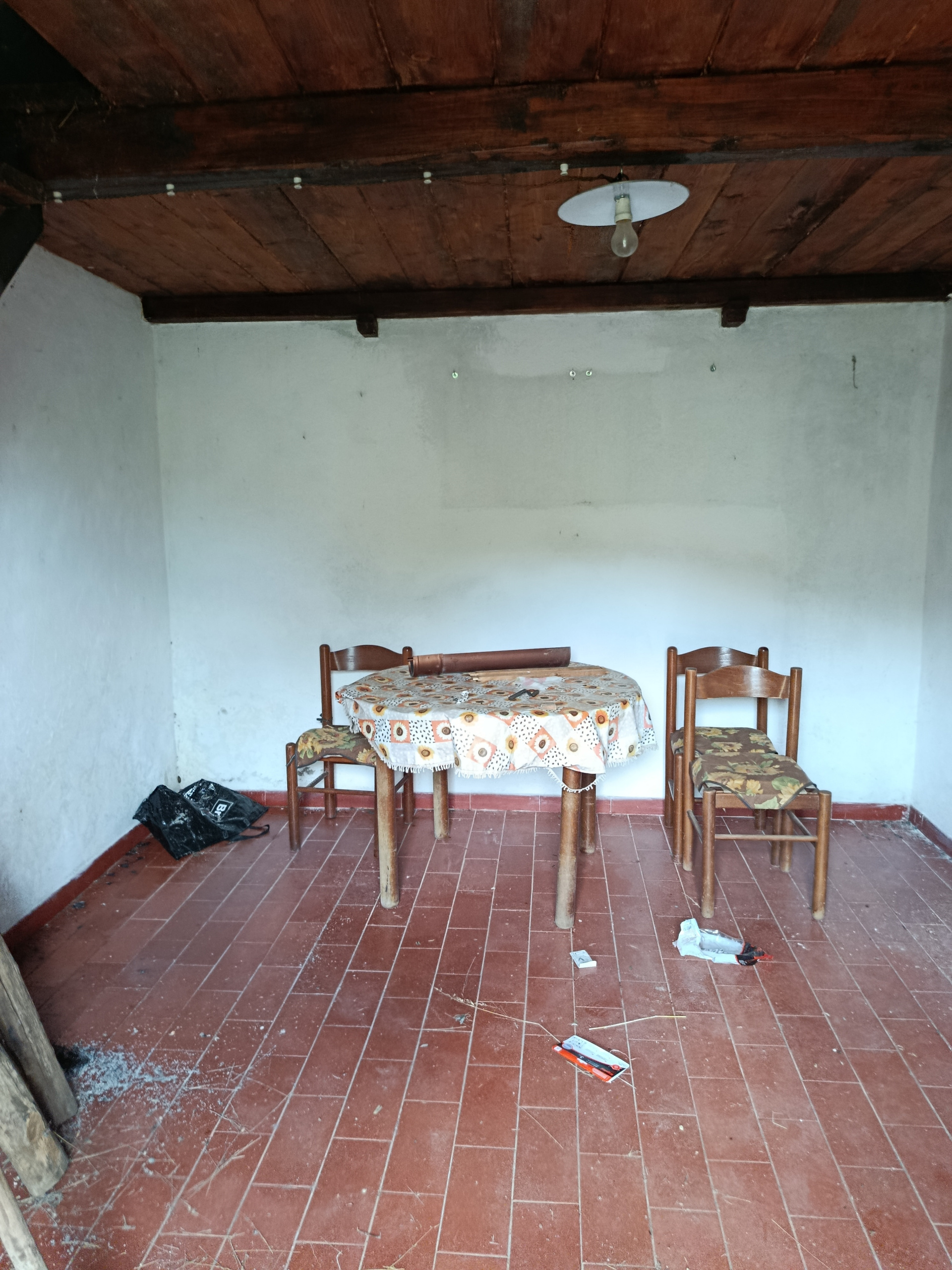 Foto annuncio 4