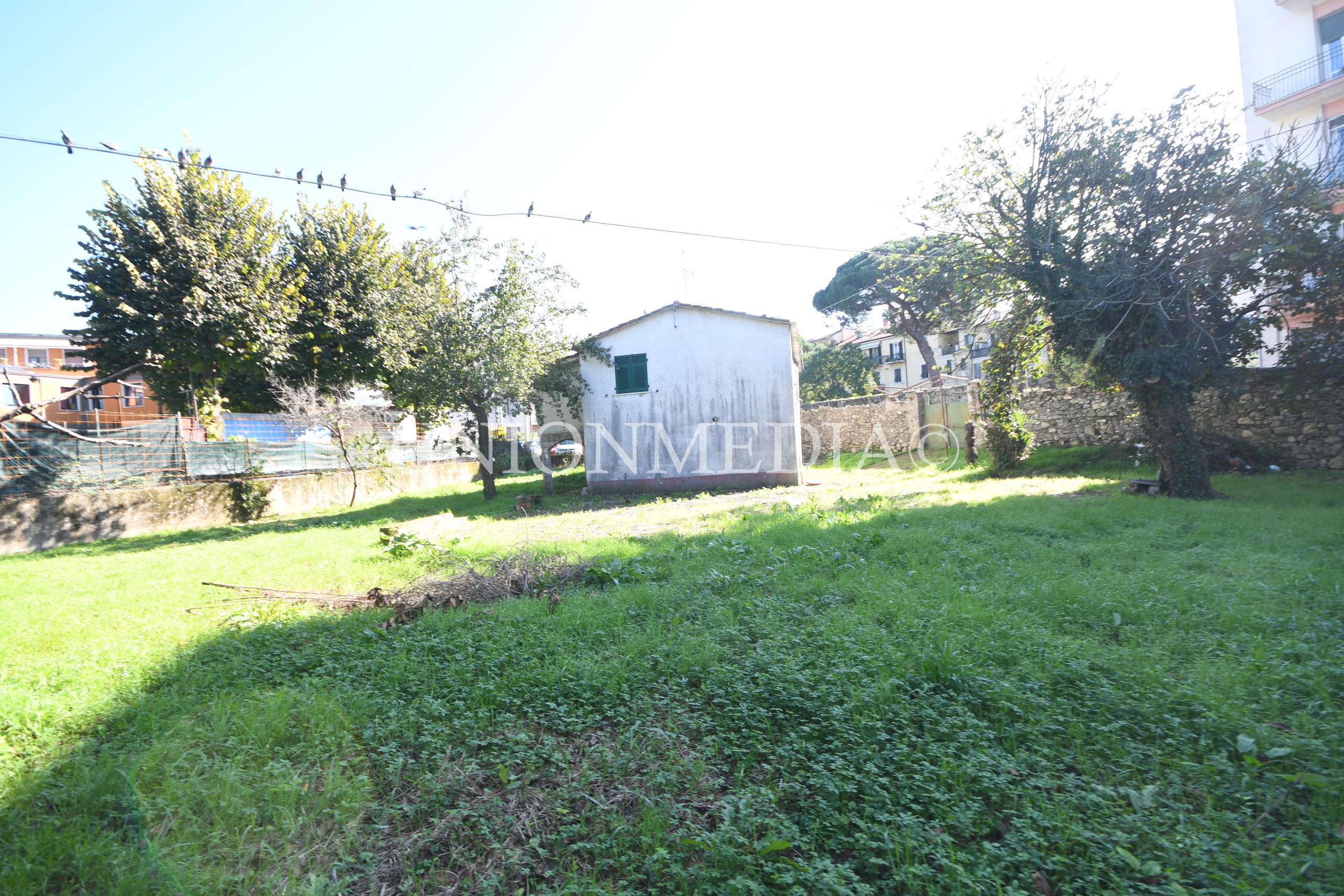 Immagine 10 di Rustico / casale in vendita  in Via Circonvallazione a Sarzana