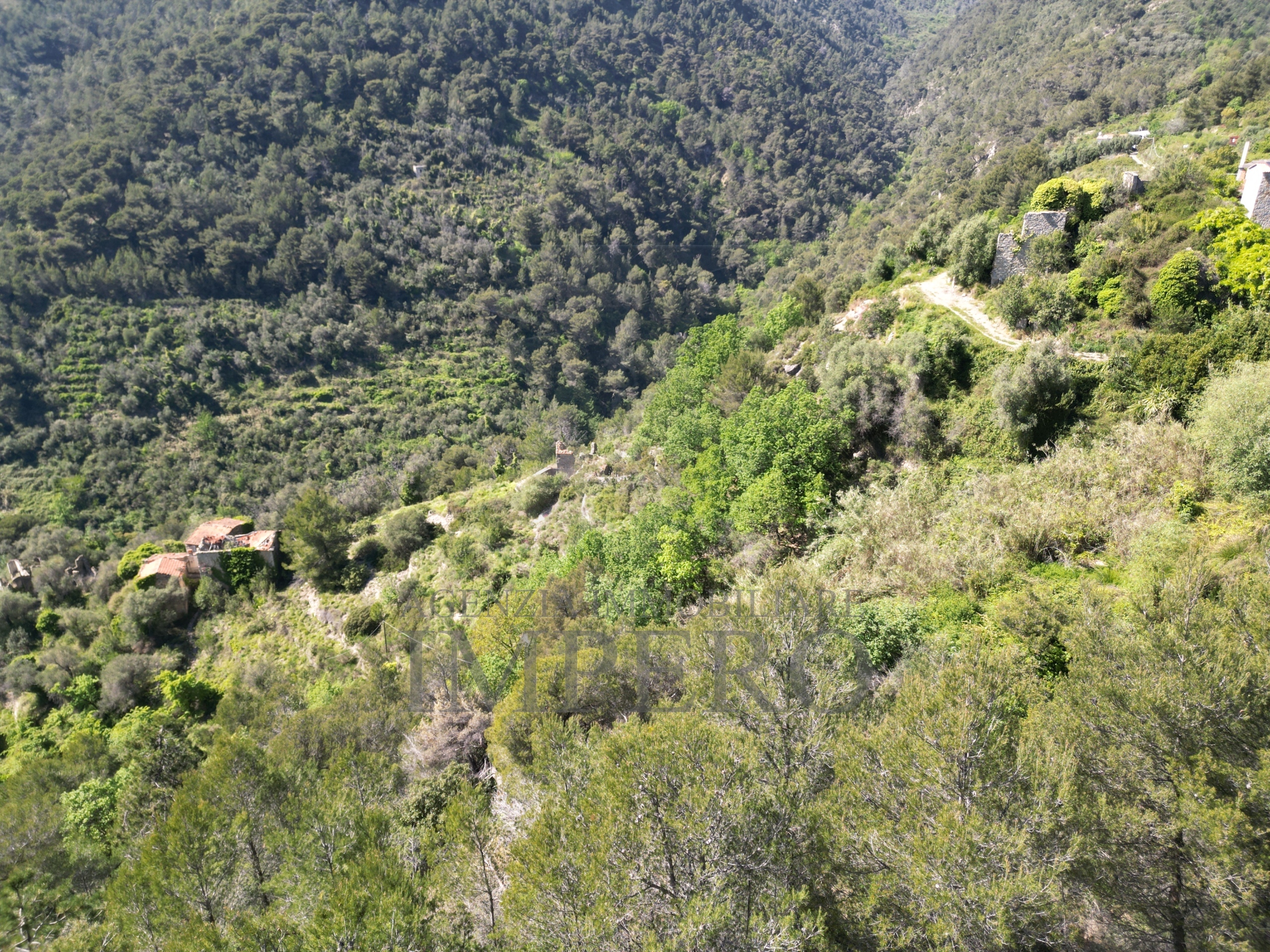 Foto annuncio 35