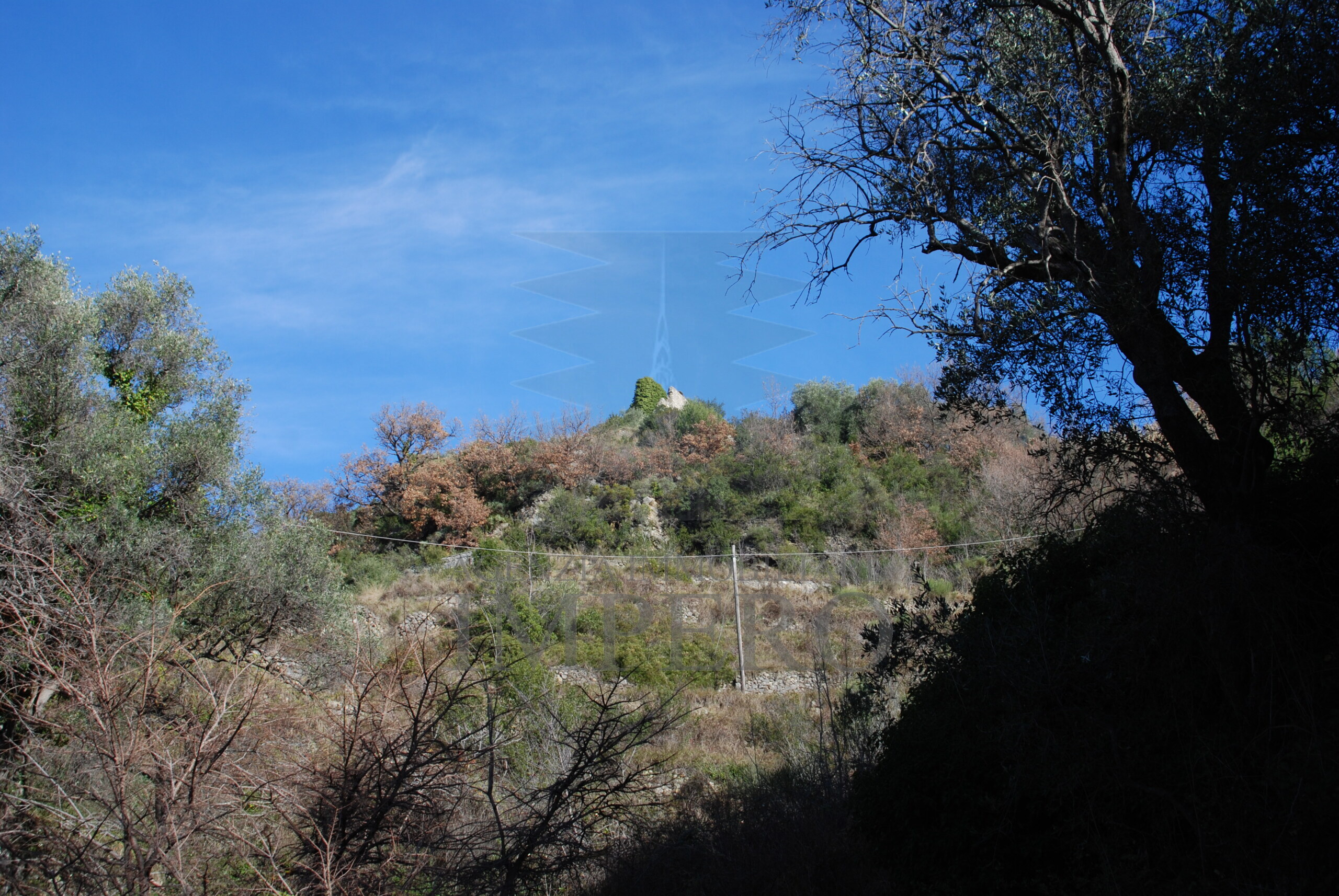 Foto annuncio 19