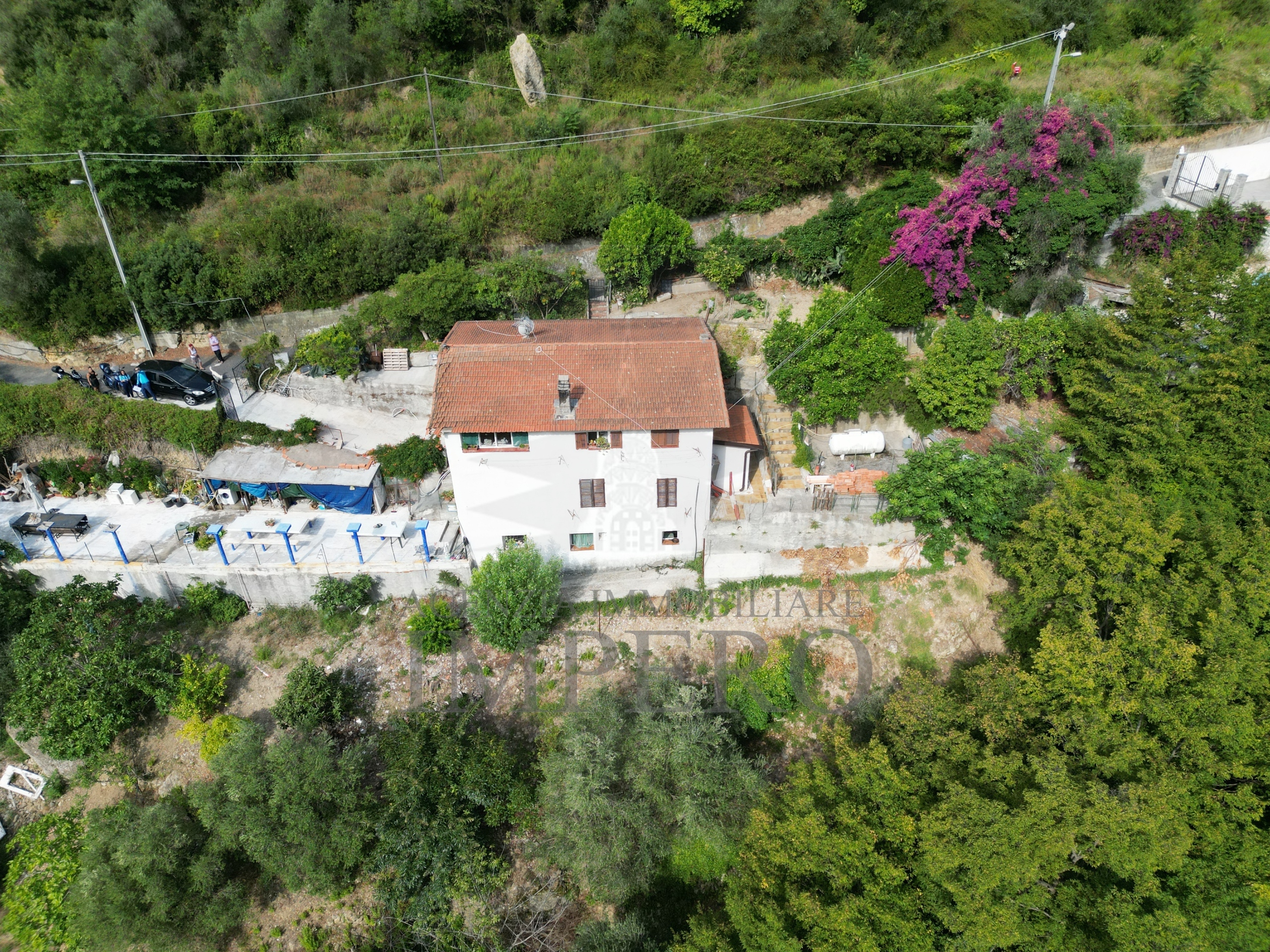 Foto annuncio 1