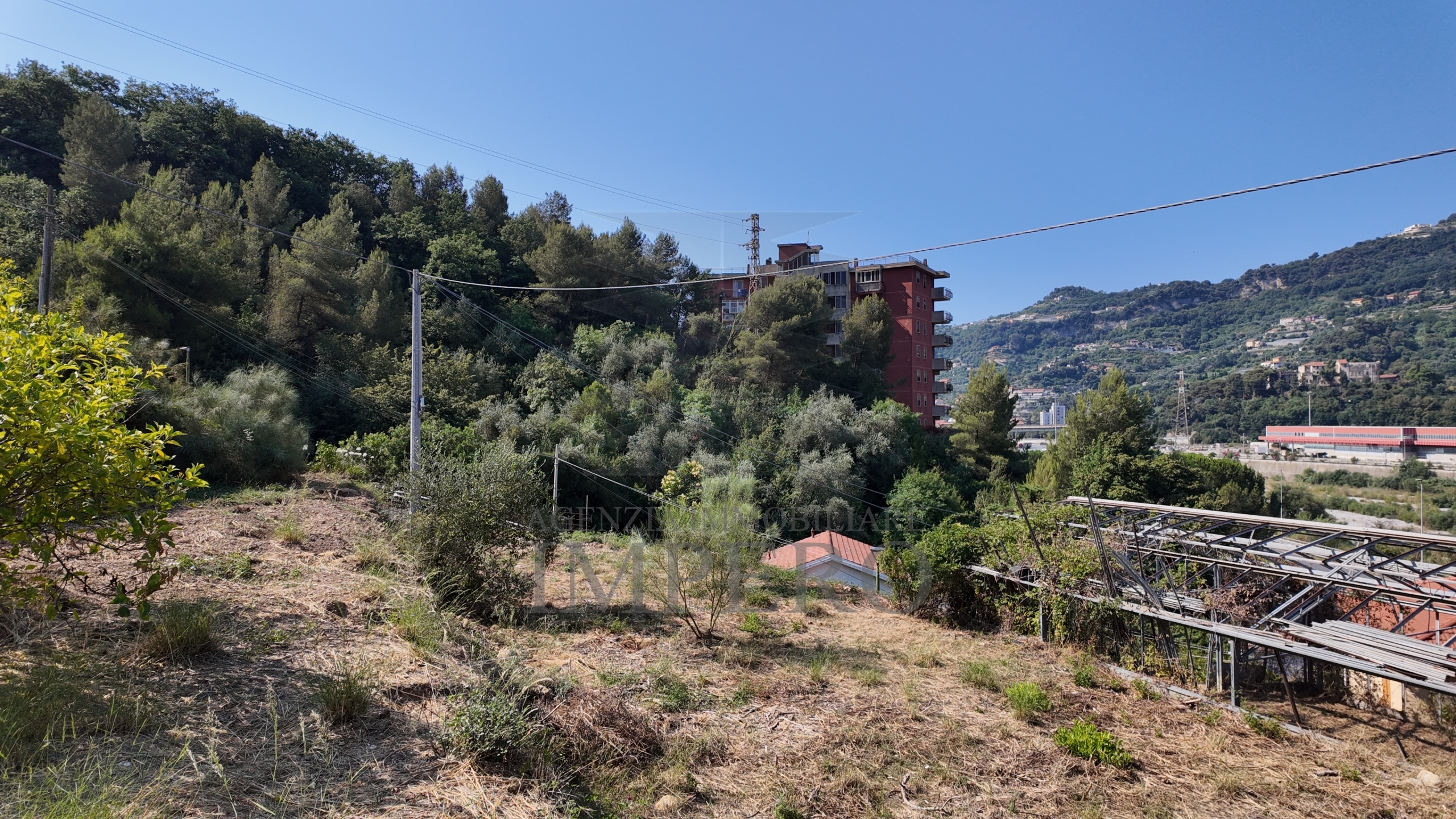 Foto annuncio 8