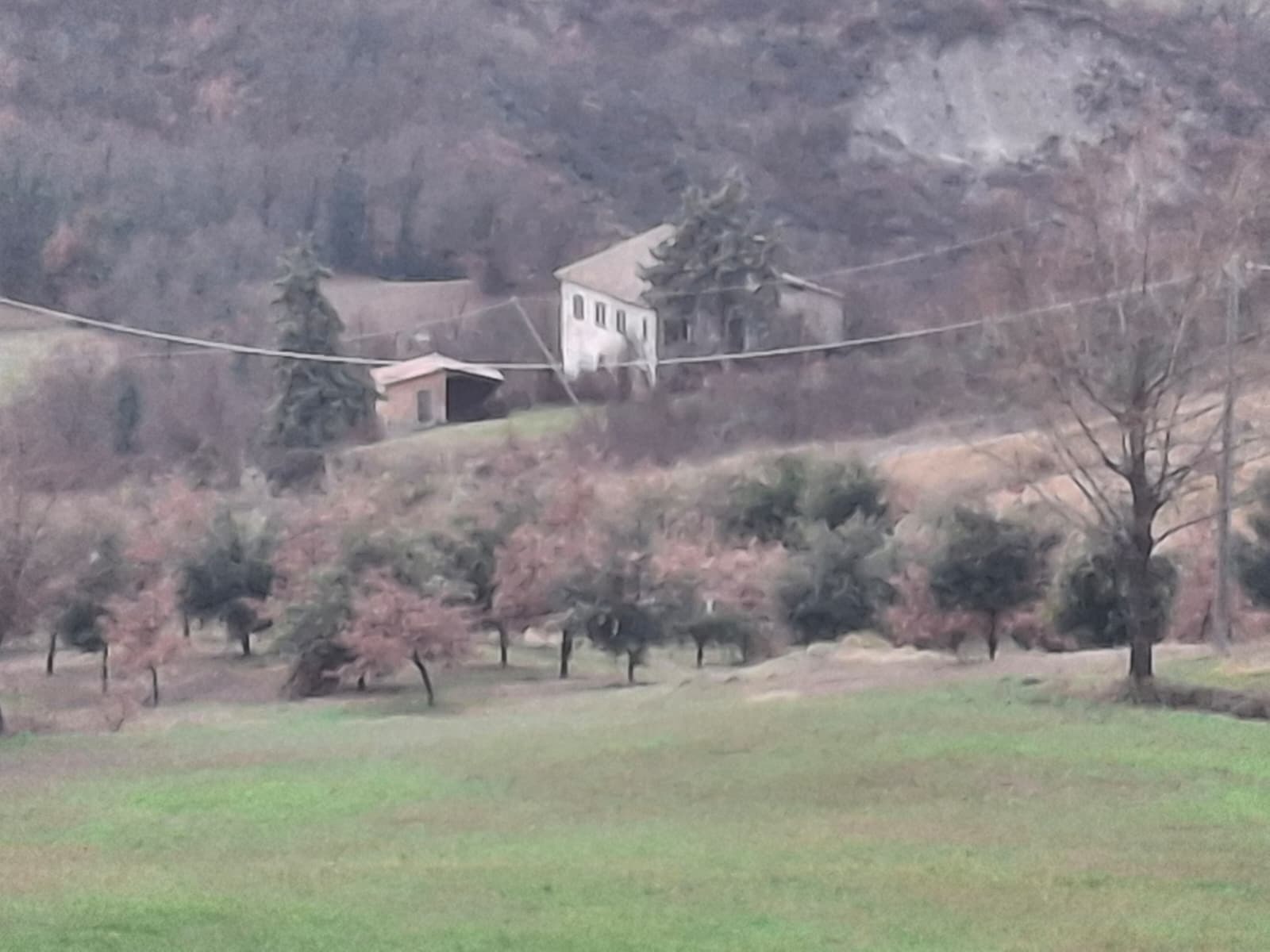 Foto annuncio 19