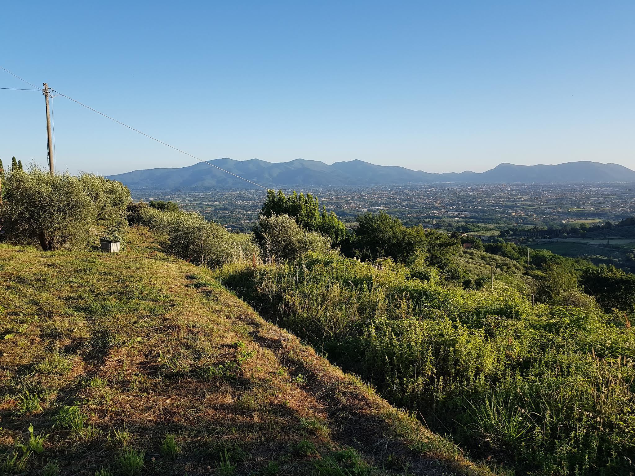 Immagine 10 di Rustico / casale in vendita  in Via di Matraia a Capannori
