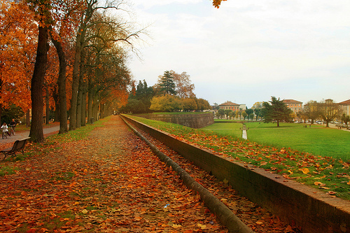 Immagine 5 di Terratetto in vendita  in Via Degli Angeli a Lucca