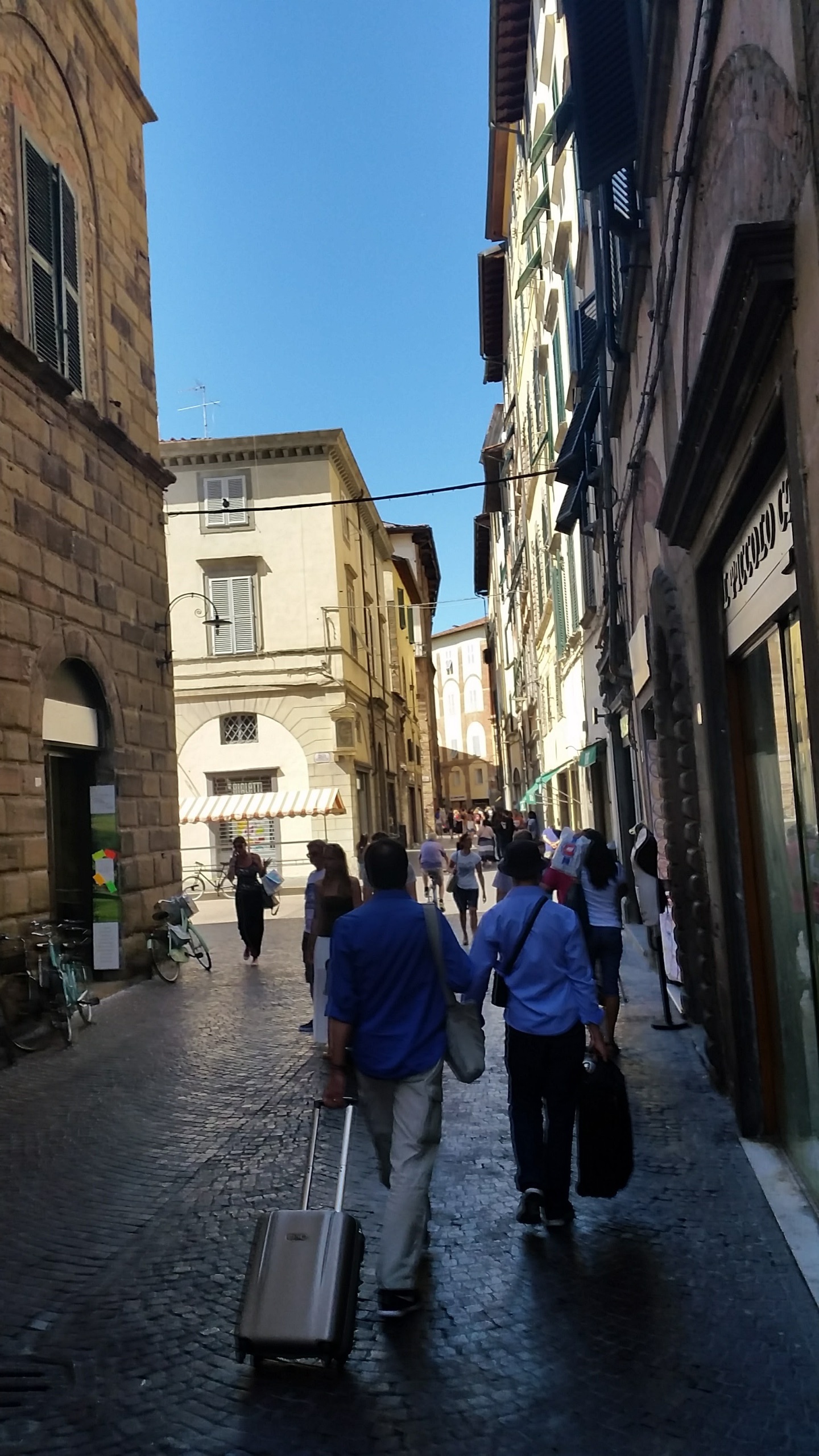 Immagine 2 di Attività commerciale in vendita  in beccheri a Lucca