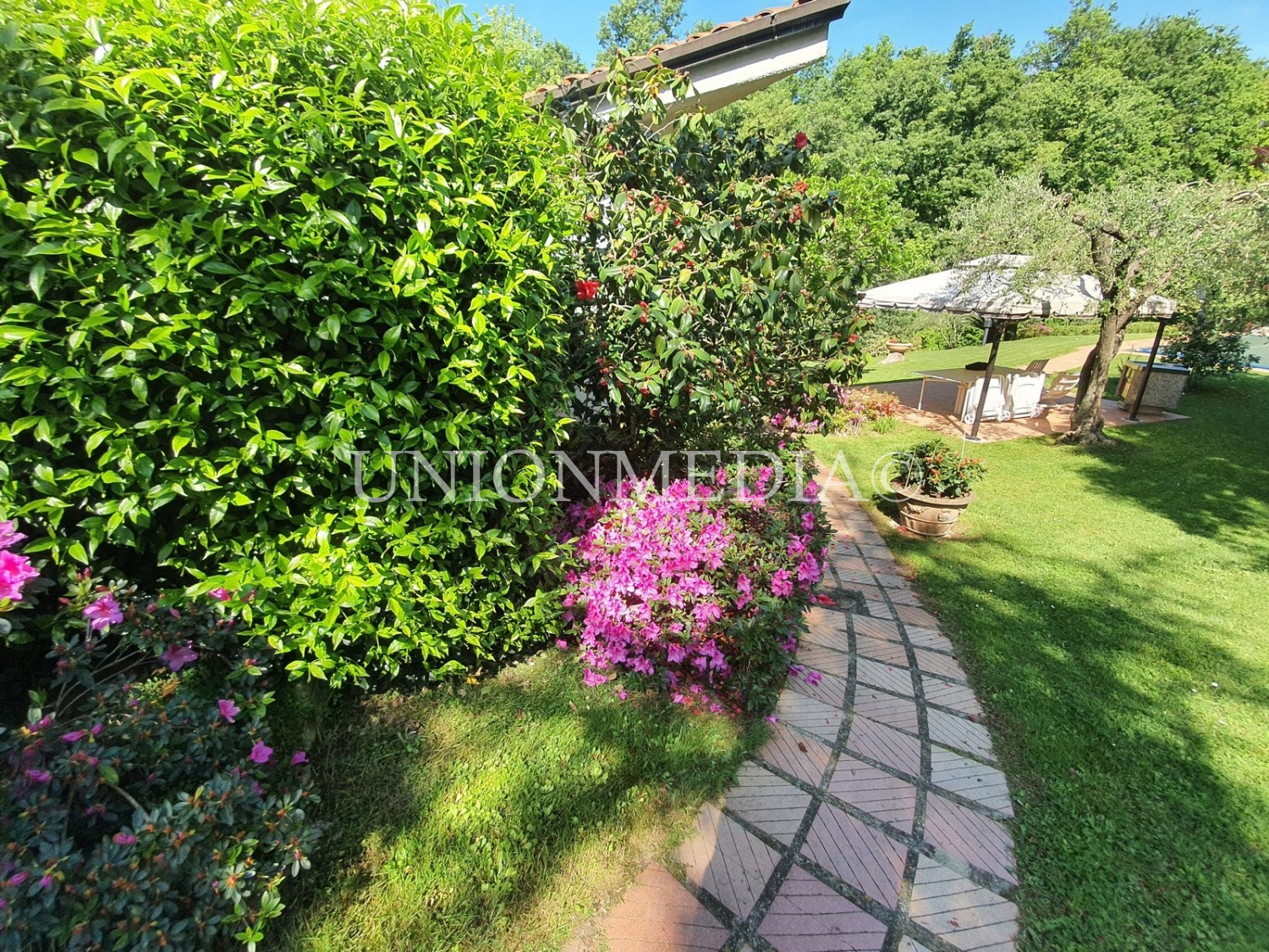 Immagine 4 di Villa in vendita  a Sarzana