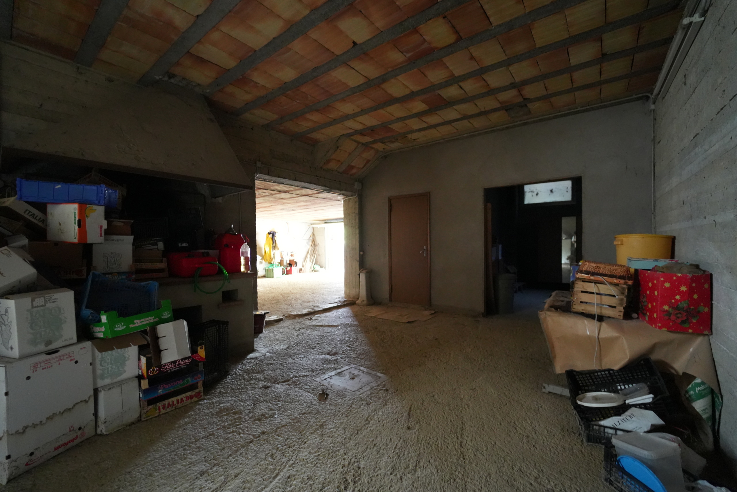 Foto annuncio 31