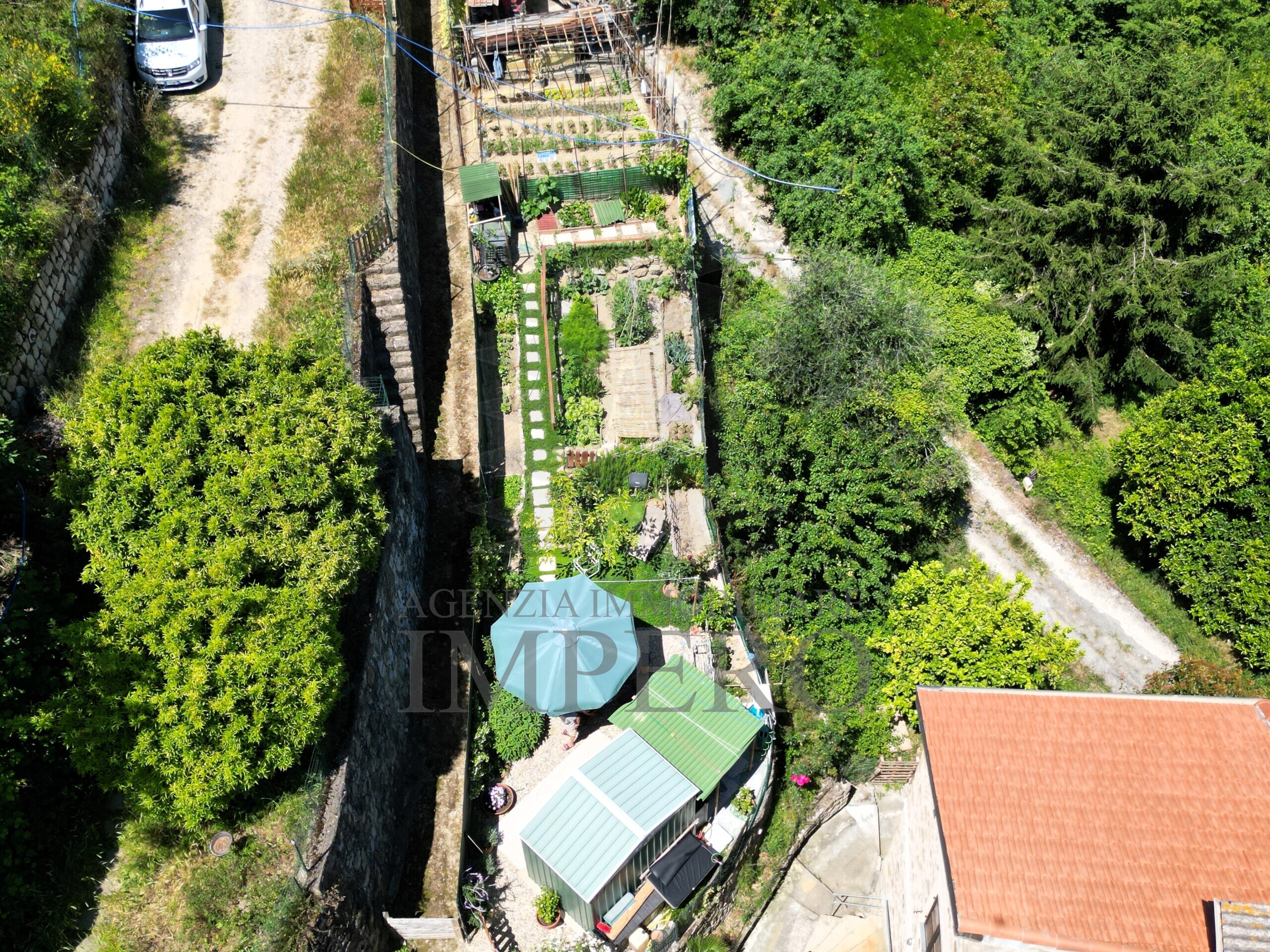 Foto annuncio 10