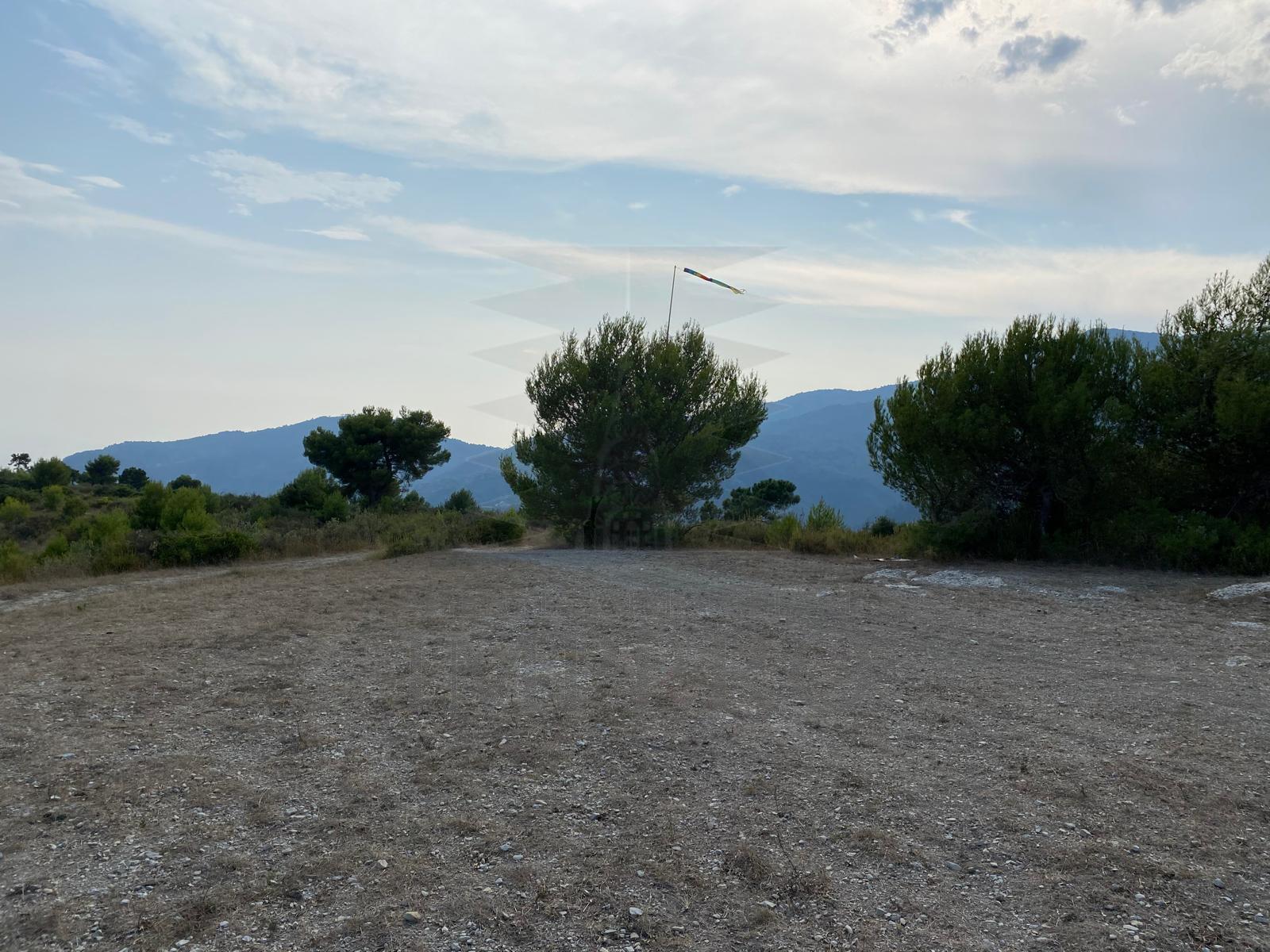 Foto annuncio 4