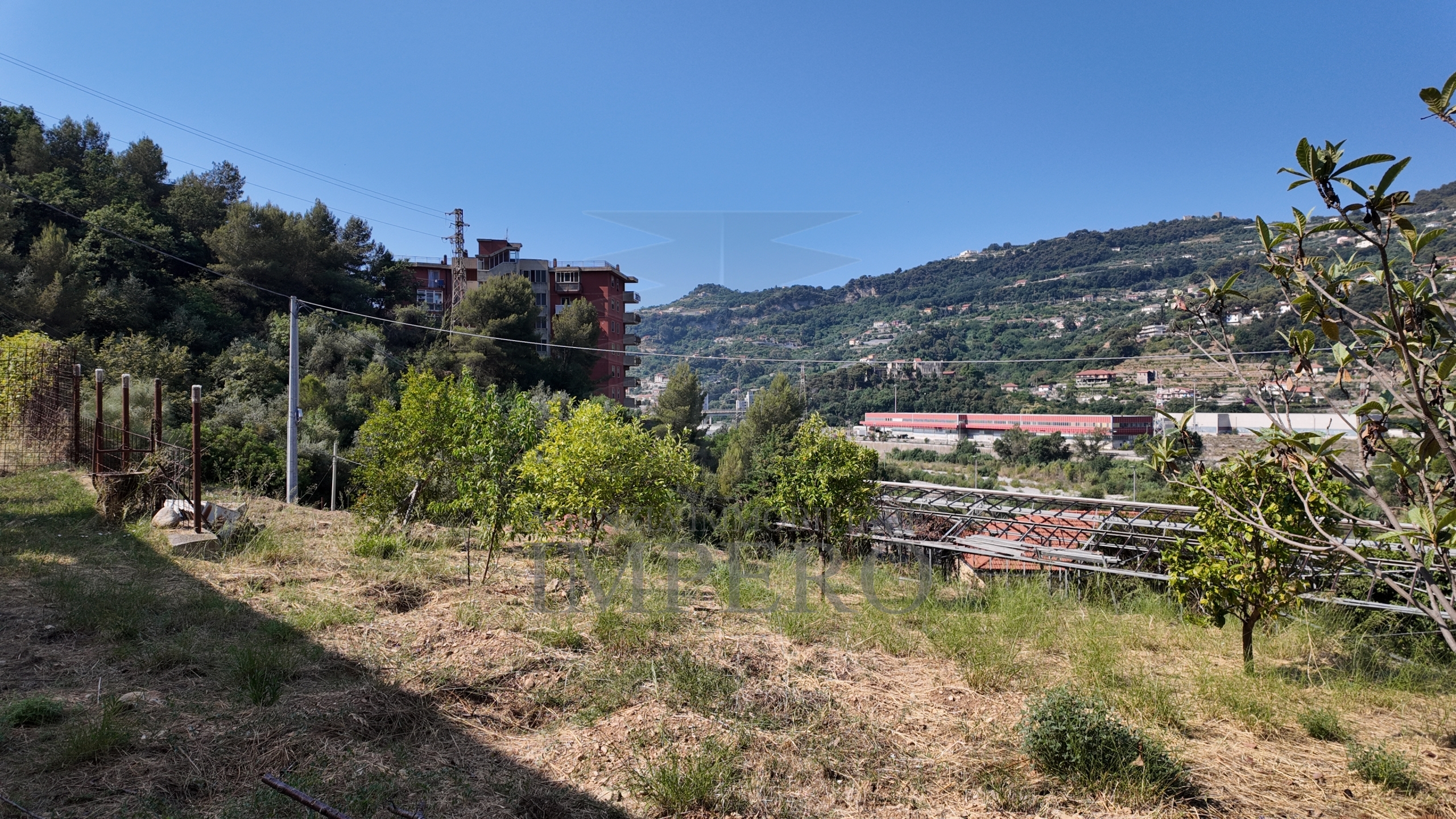 Foto annuncio 25