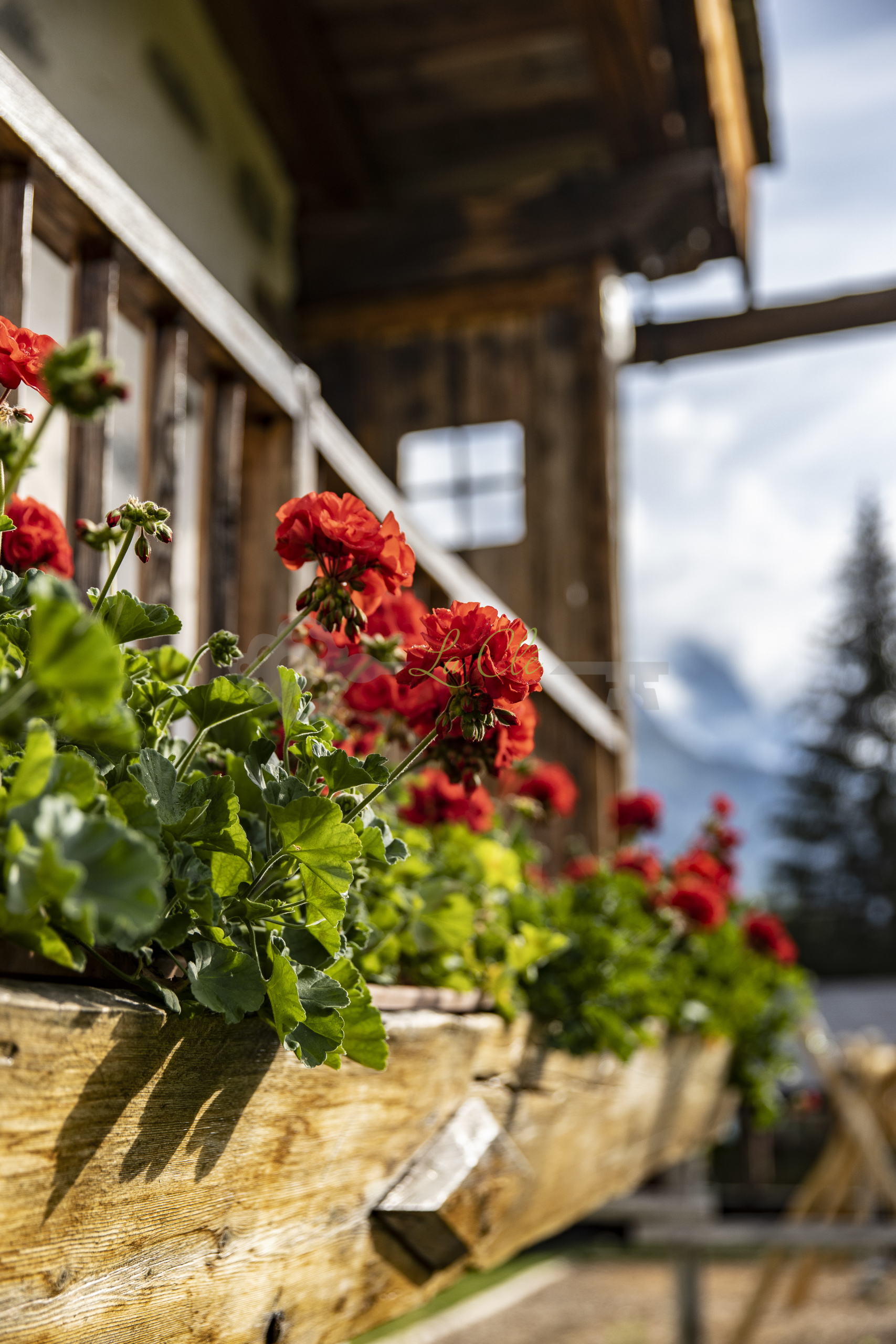 Immagine 20 di Baita in affitto  in Località Peuterey 15 a Courmayeur
