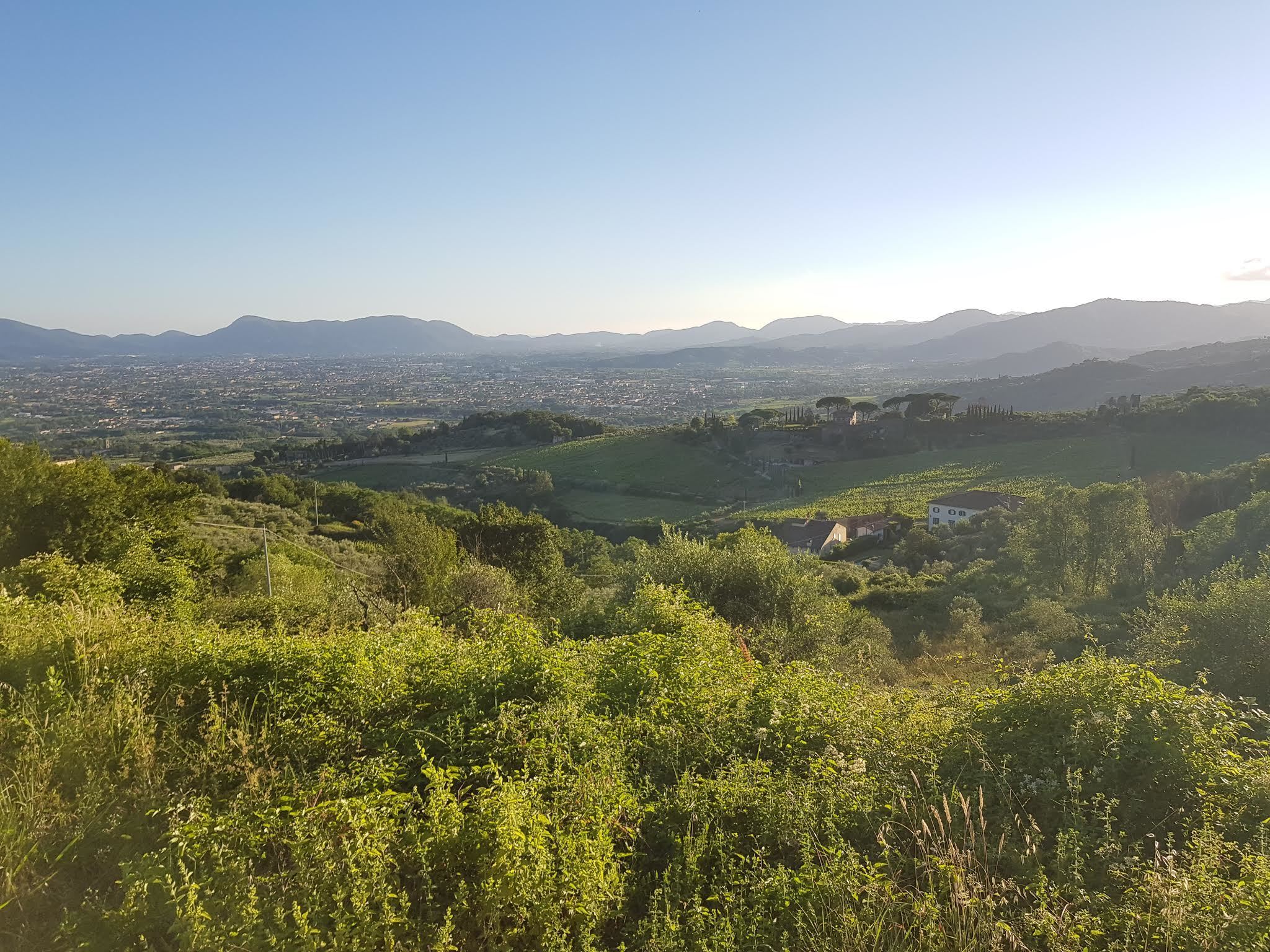 Immagine 11 di Rustico / casale in vendita  in Via di Matraia a Capannori