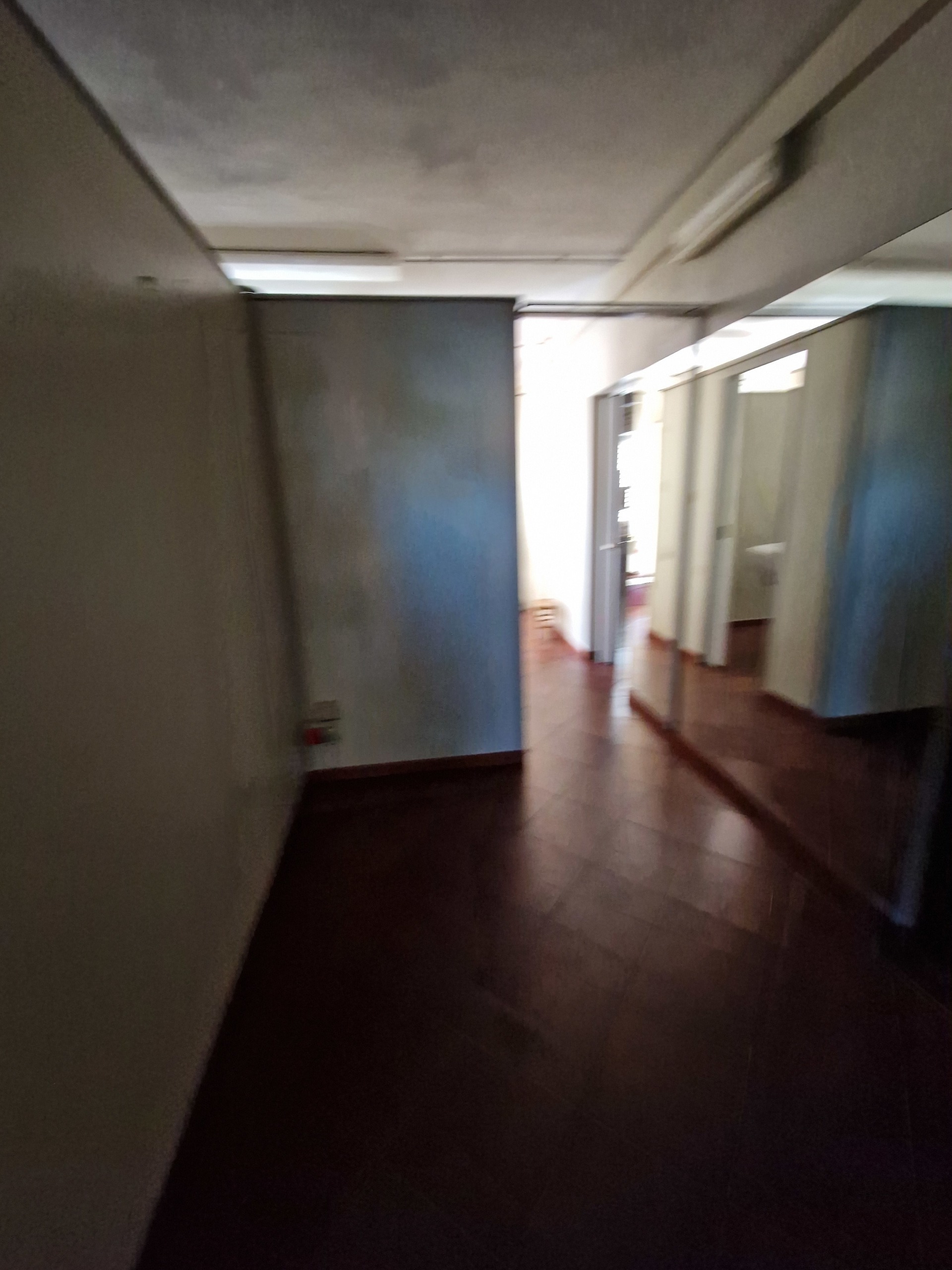 Immagine 3 di Locale commerciale in affitto  in Viale G. Puccini 254 a Lucca