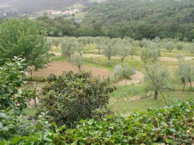 Foto annuncio 4