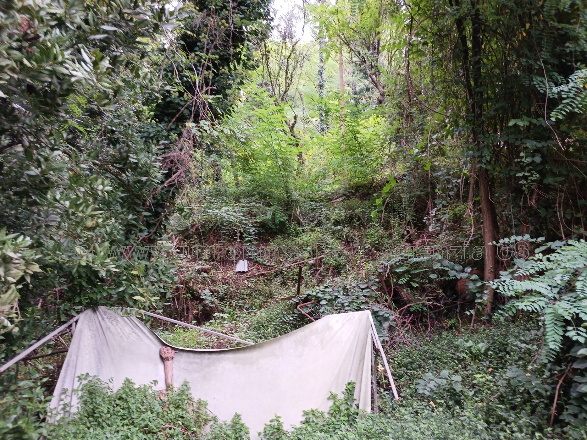 Immagine 10 di Appartamento in vendita  a Lerici