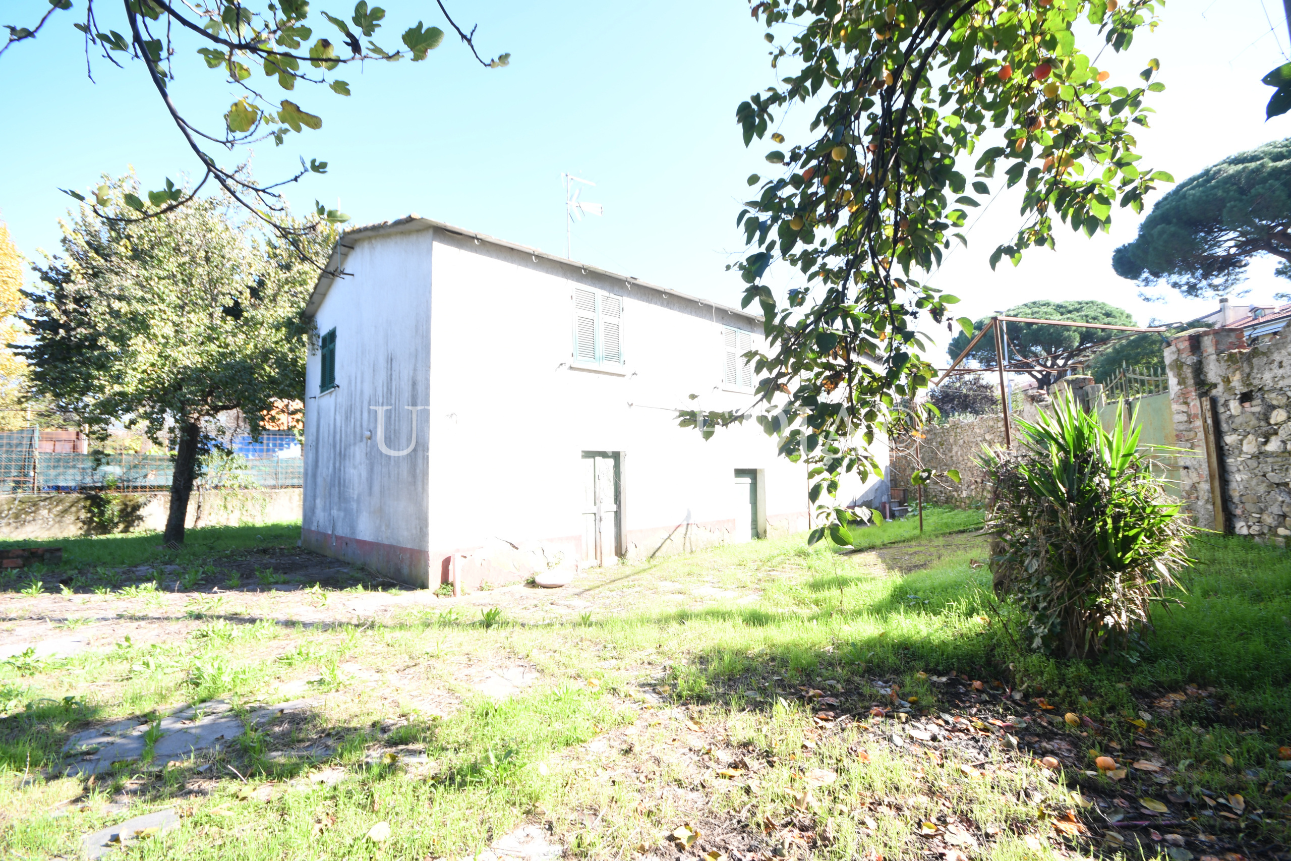 Immagine 15 di Rustico / casale in vendita  in Via Circonvallazione a Sarzana