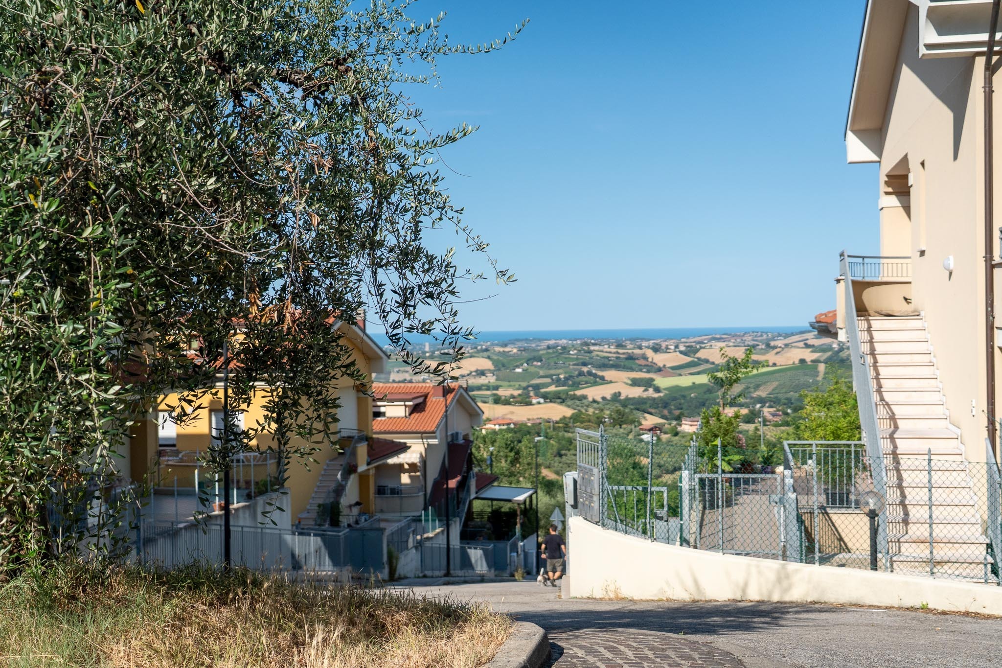Foto annuncio 44