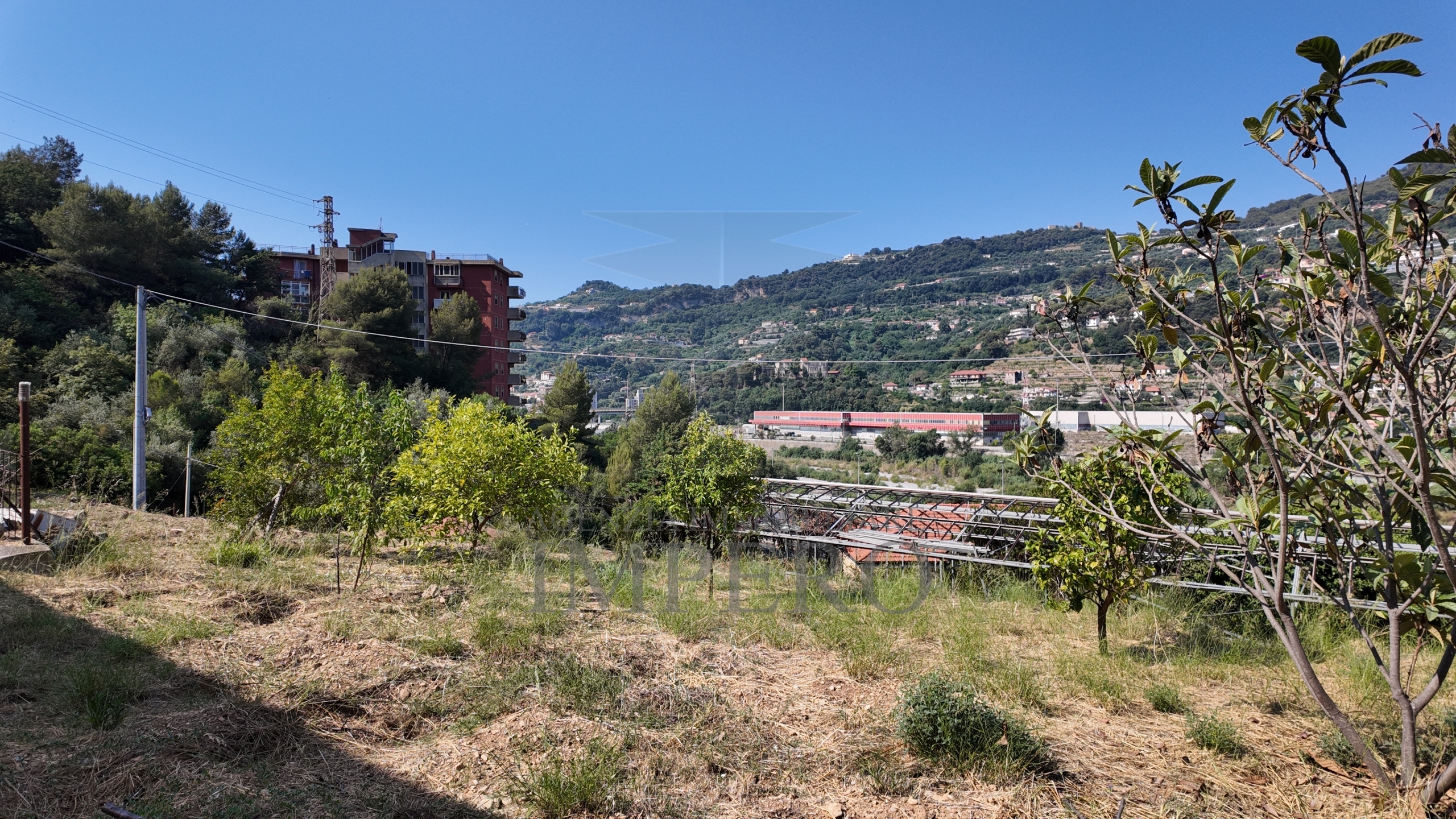 Foto annuncio 24