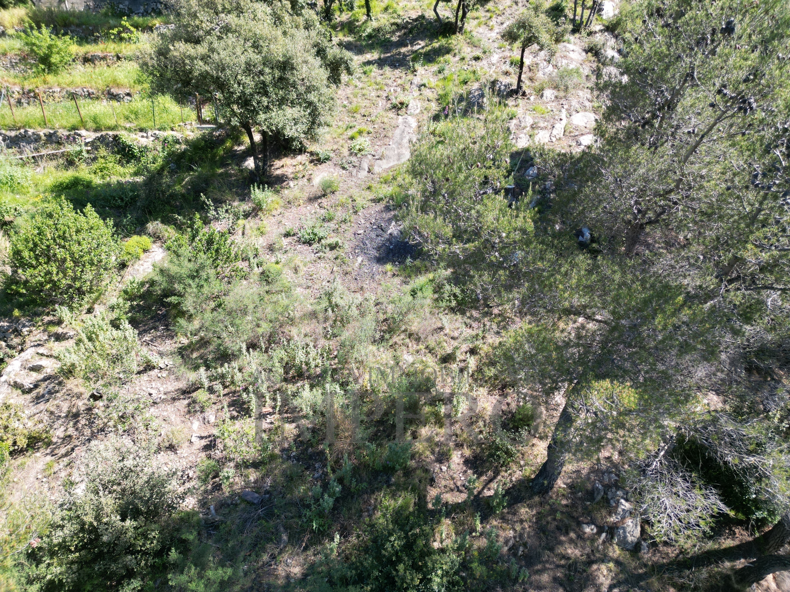 Foto annuncio 43