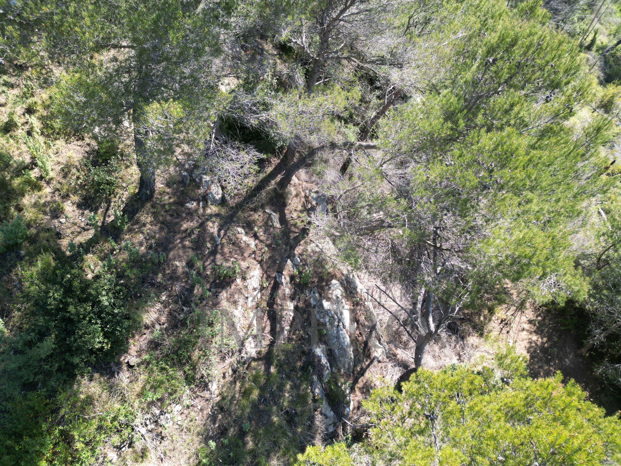 Foto annuncio 41