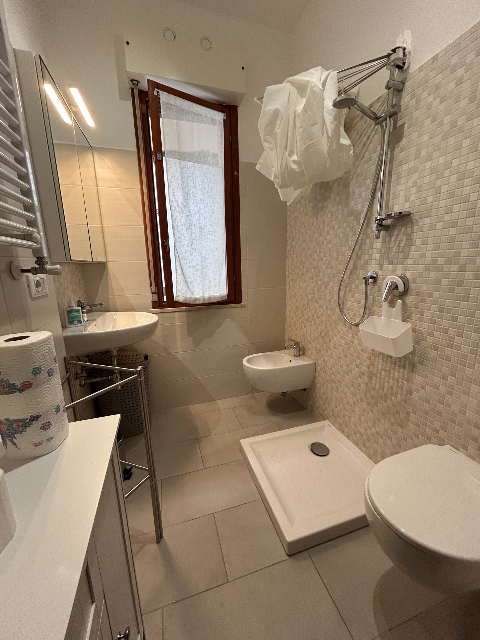 Immagine 18 di Trilocale in affitto  in Viale Maiella 23/A a Francavilla Al Mare