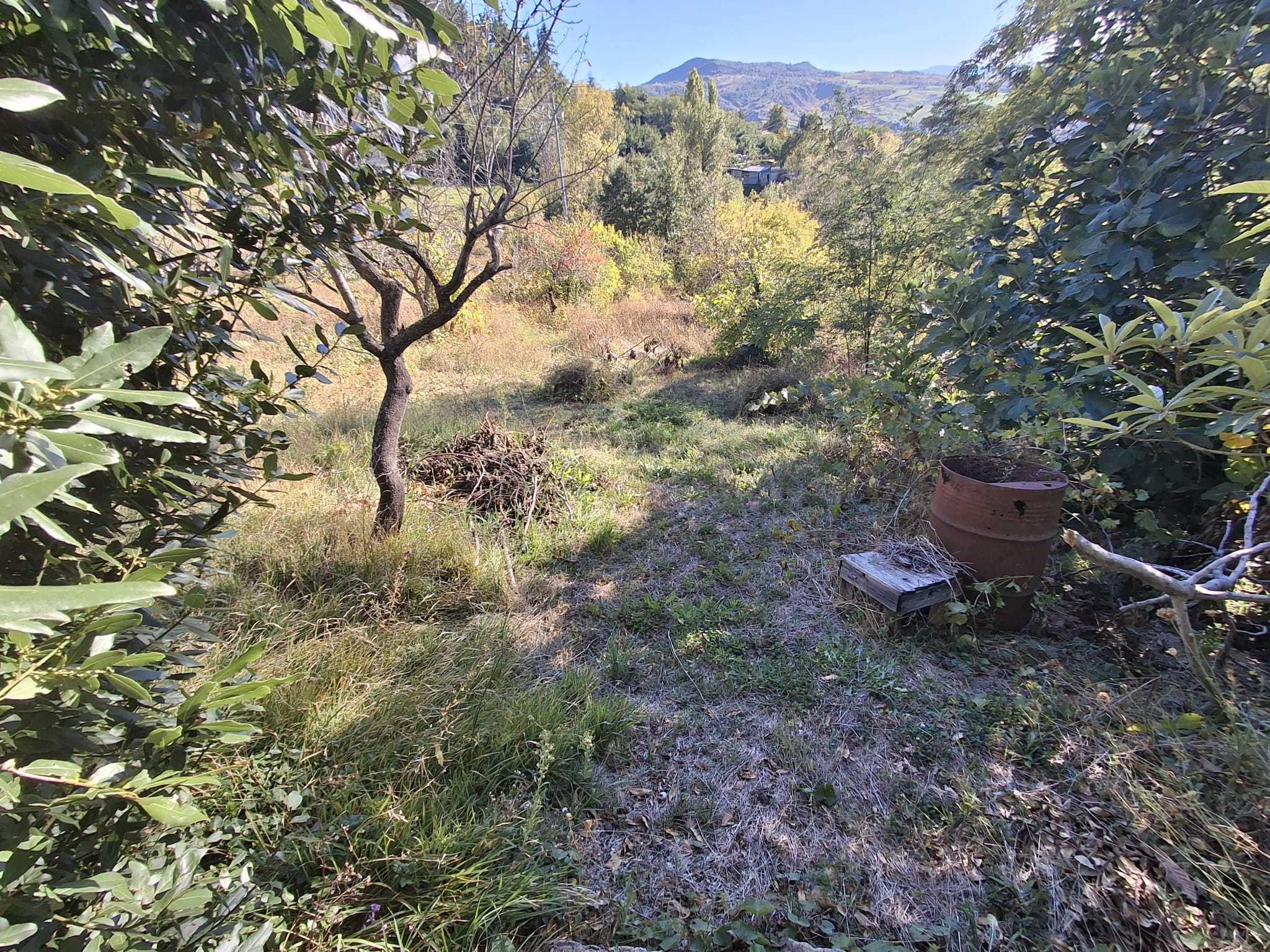 Foto annuncio 4