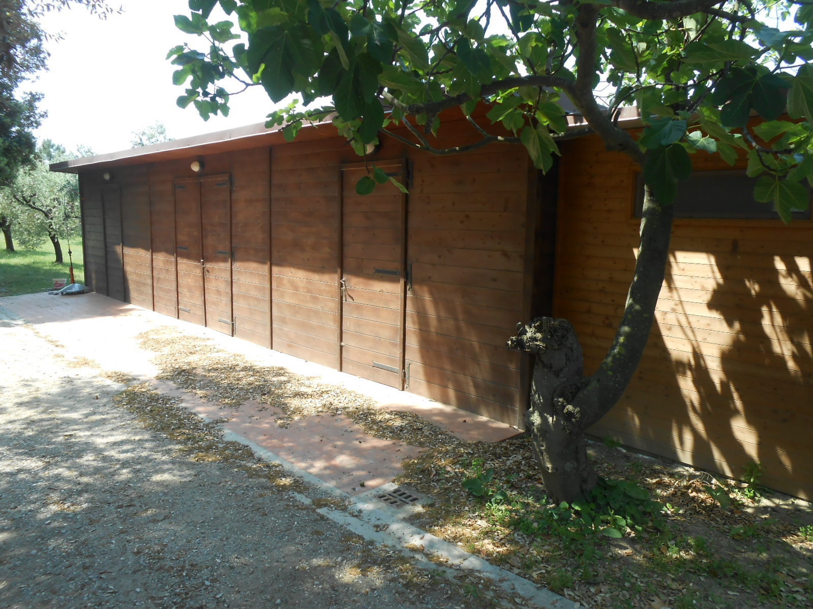 Immagine 42 di Rustico / casale in vendita  in Via per massaciuccoli a San Giuliano Terme