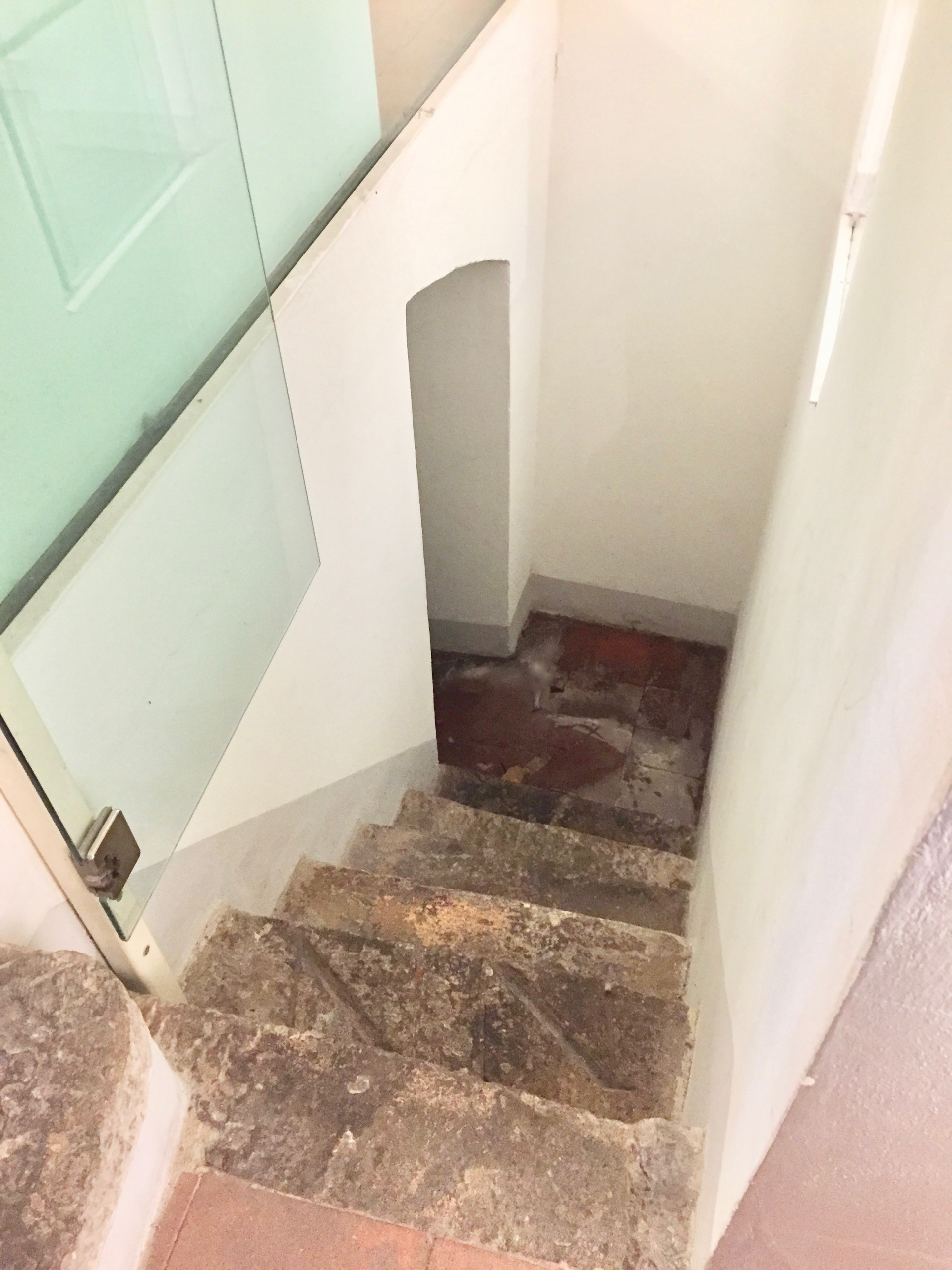 Immagine 8 di Attività commerciale in vendita  in beccheri a Lucca