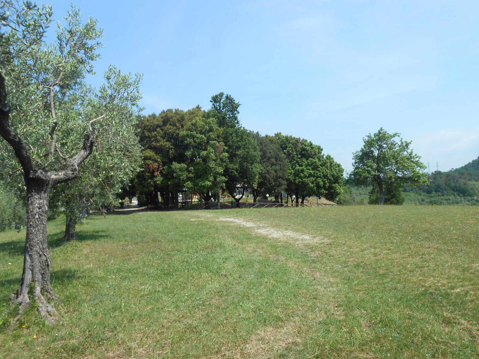 Immagine 36 di Rustico / casale in vendita  in Via per massaciuccoli a San Giuliano Terme