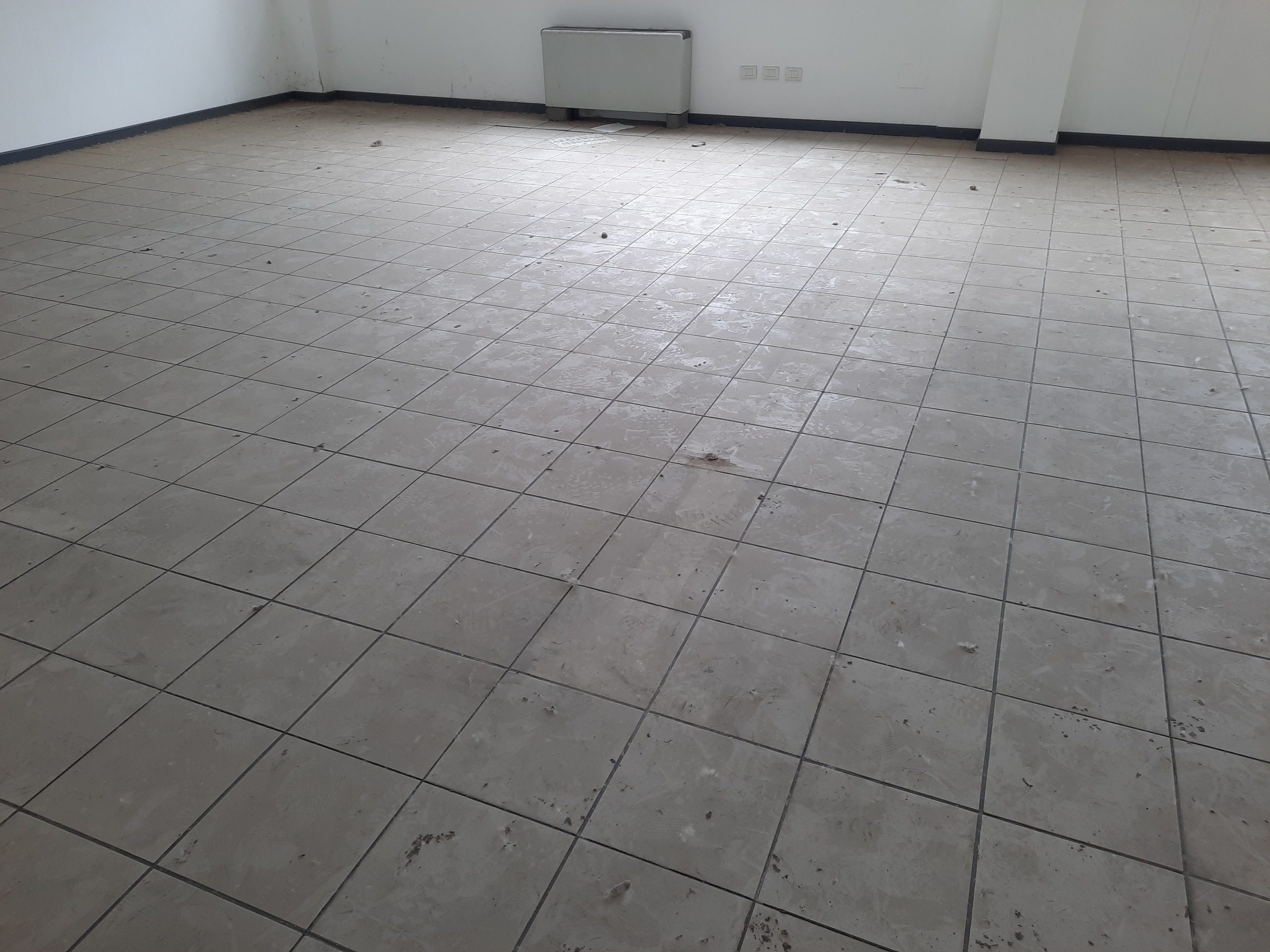 Immagine 3 di Ufficio in affitto  in Viale G. Puccini a Lucca