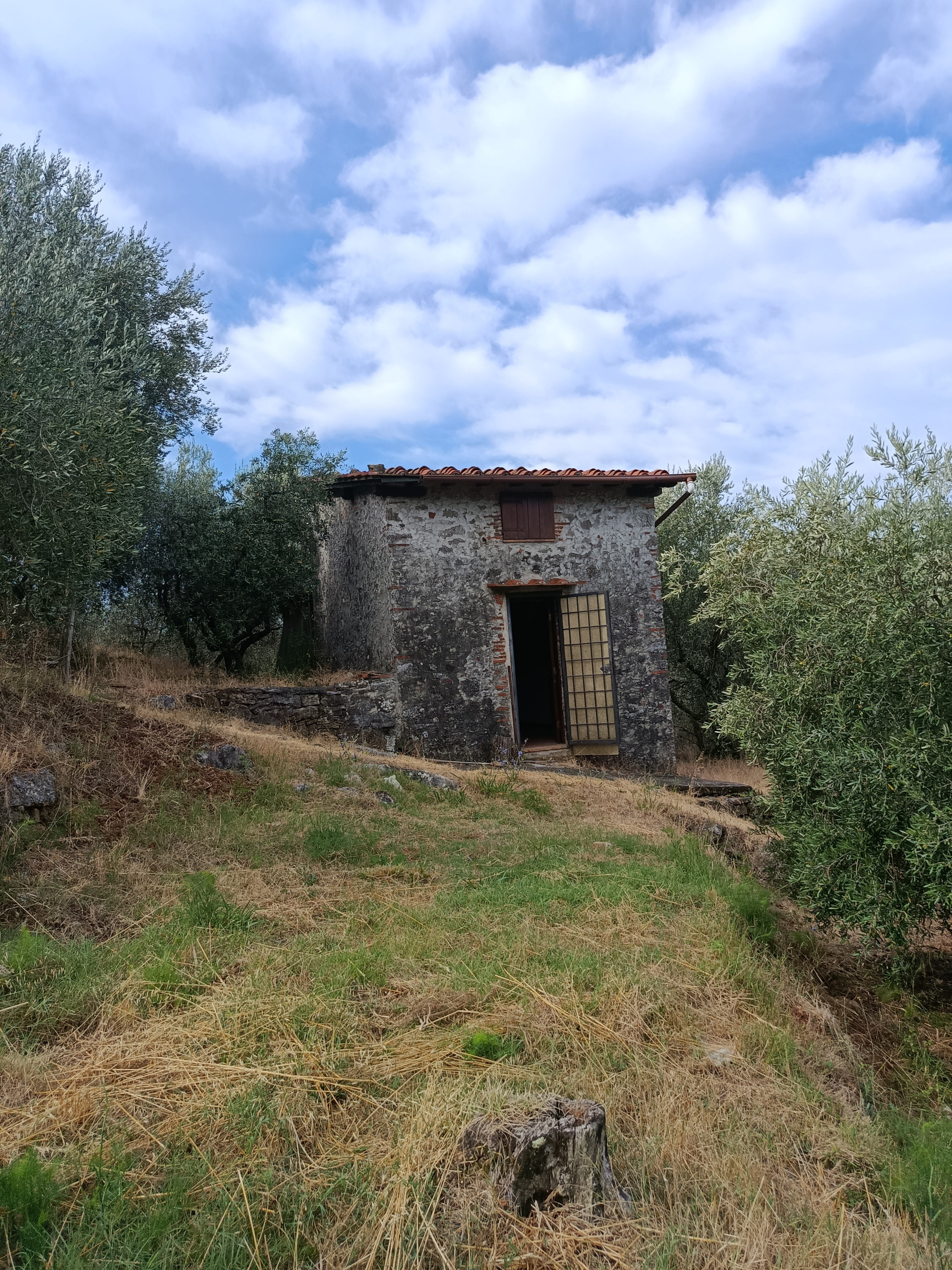 Foto annuncio 1