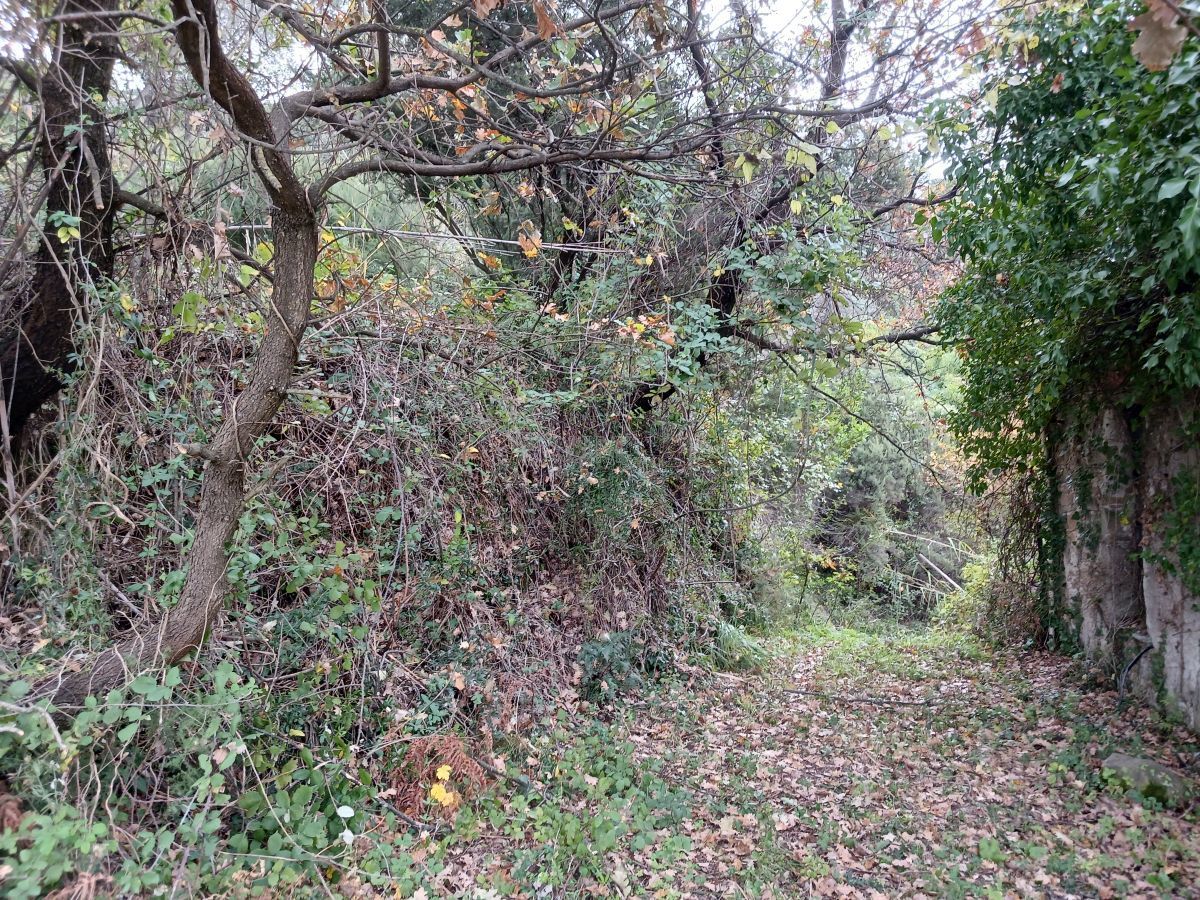 Immagine 12 di Casa indipendente in vendita  a Arcola