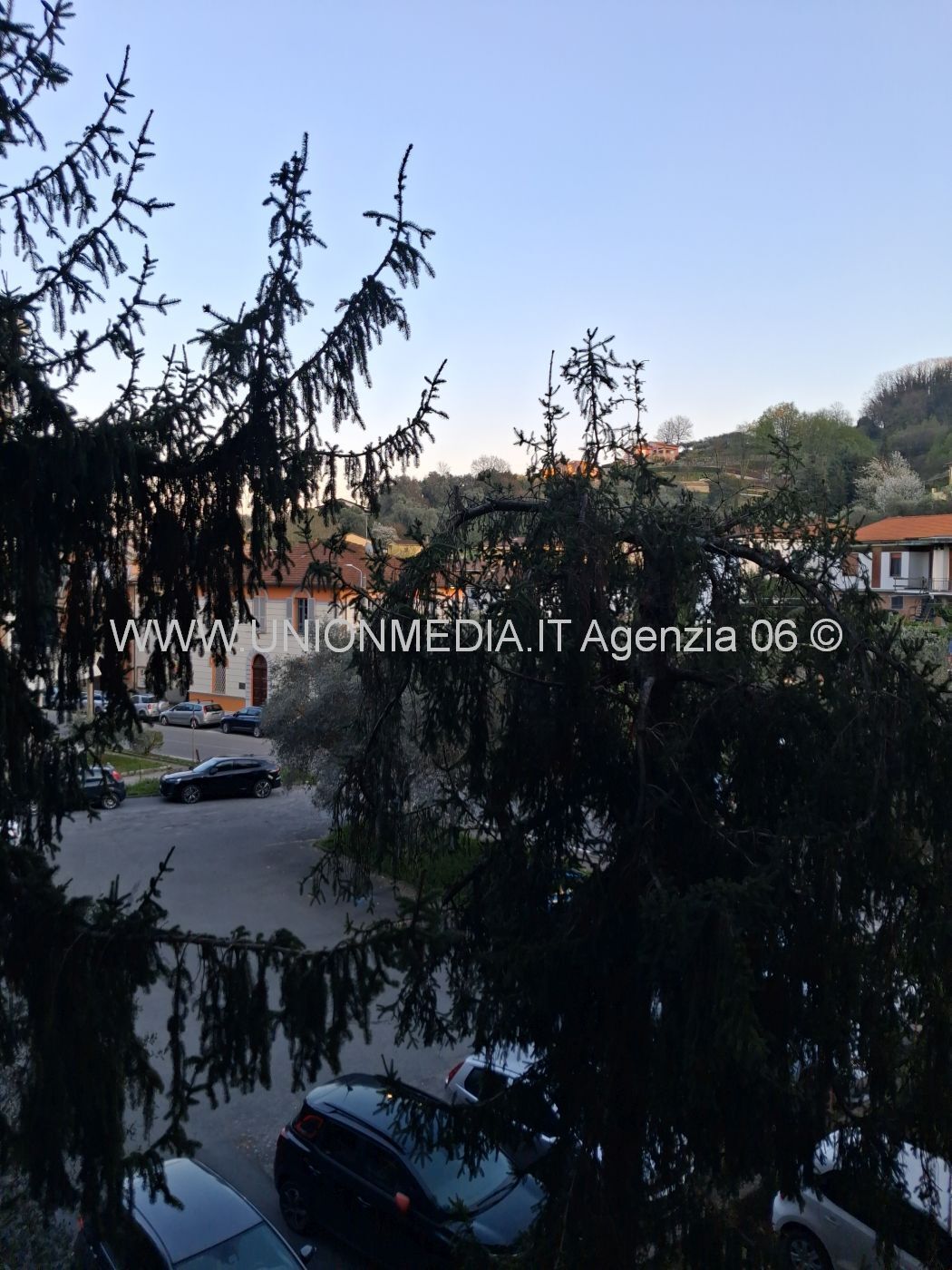 Foto annuncio 42