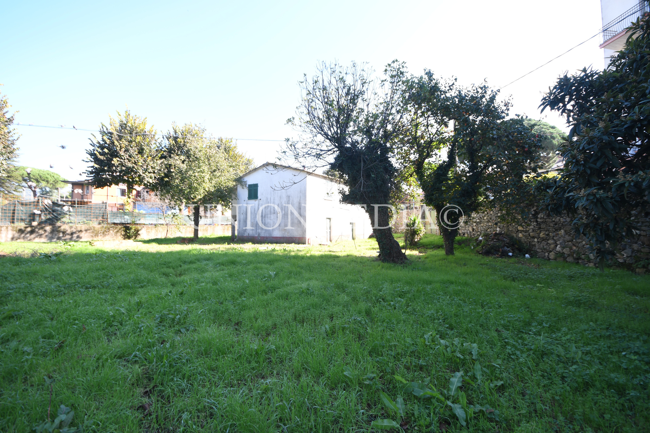 Immagine 16 di Rustico / casale in vendita  in Via Circonvallazione a Sarzana