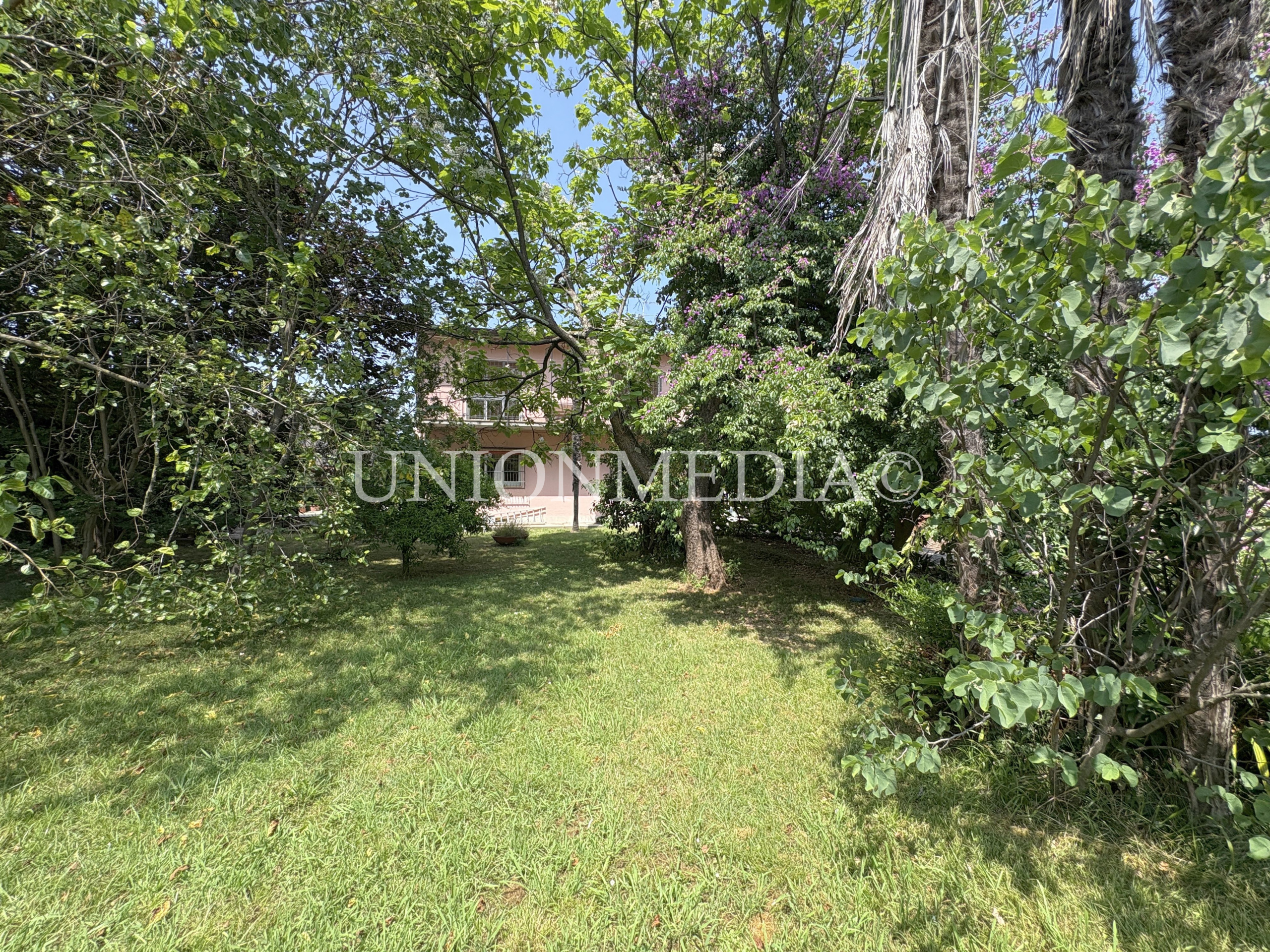 Immagine 4 di Casa indipendente in vendita  in Via bradiola a Sarzana