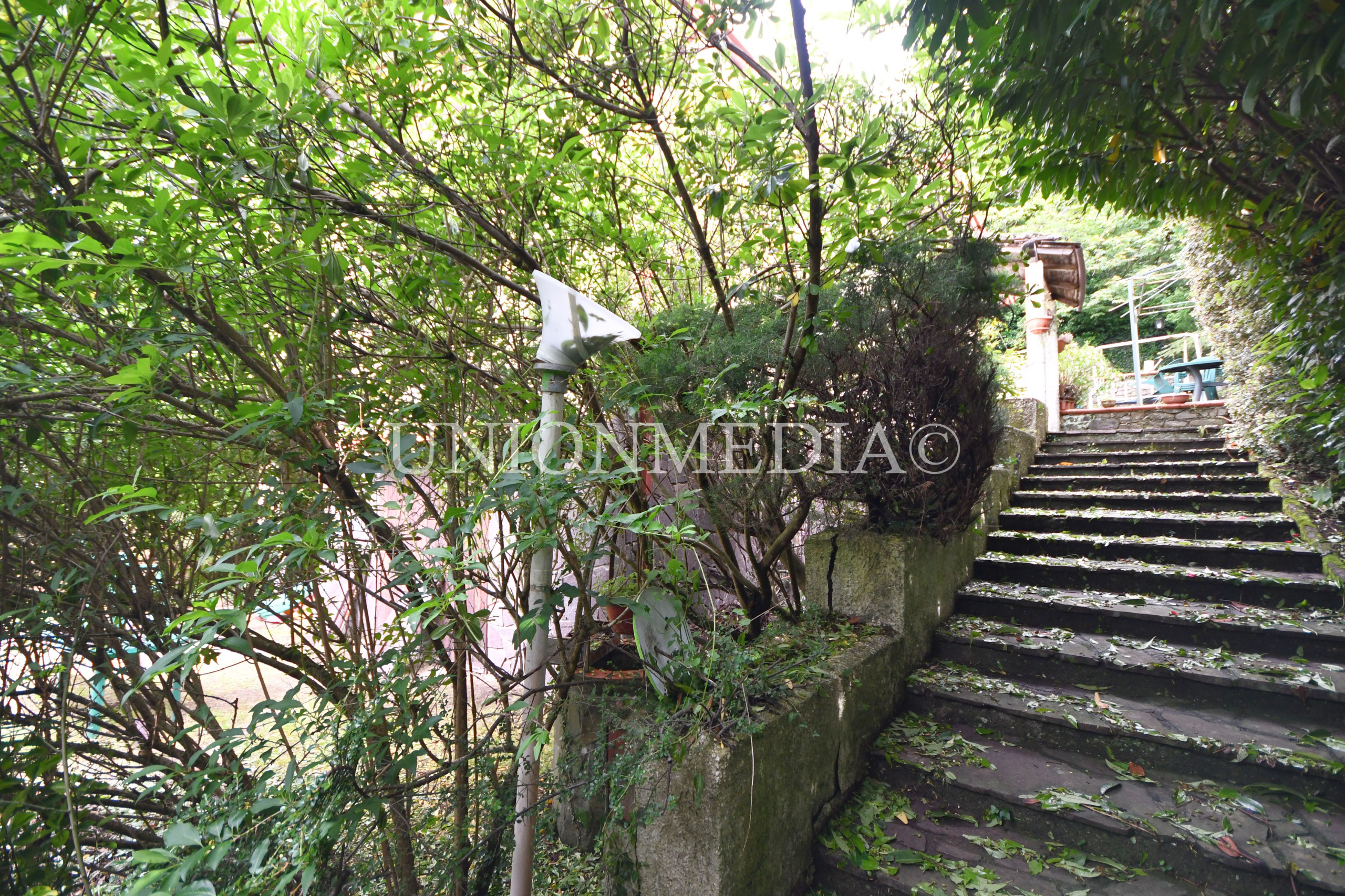 Immagine 5 di Casa indipendente in vendita  a Comano