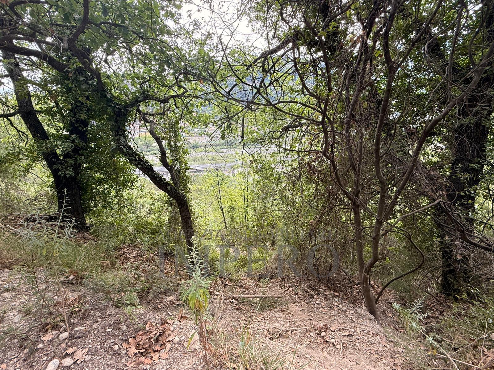 Foto annuncio 11