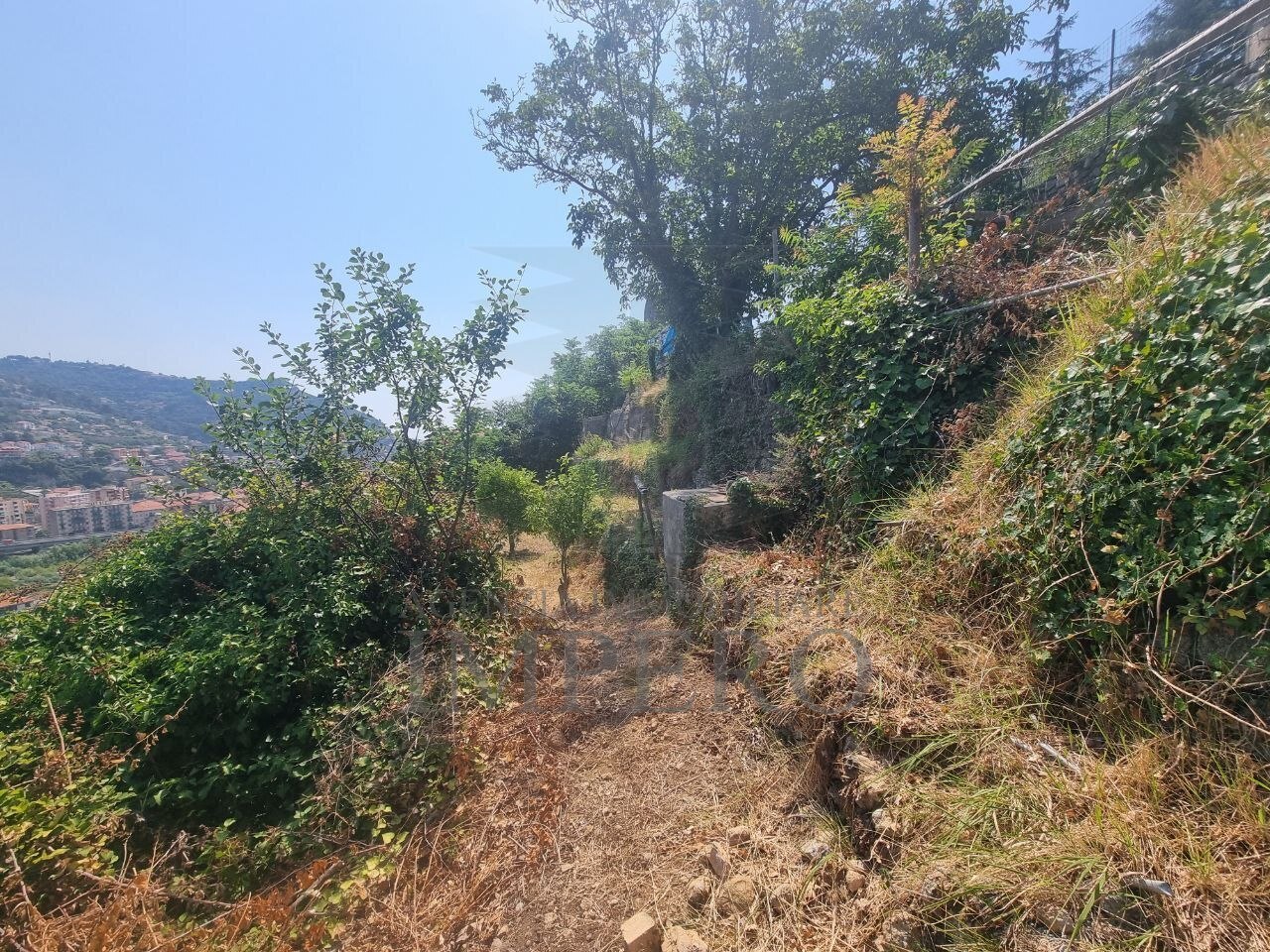 Foto annuncio 4