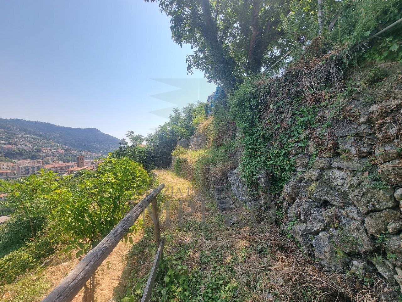 Foto annuncio 9