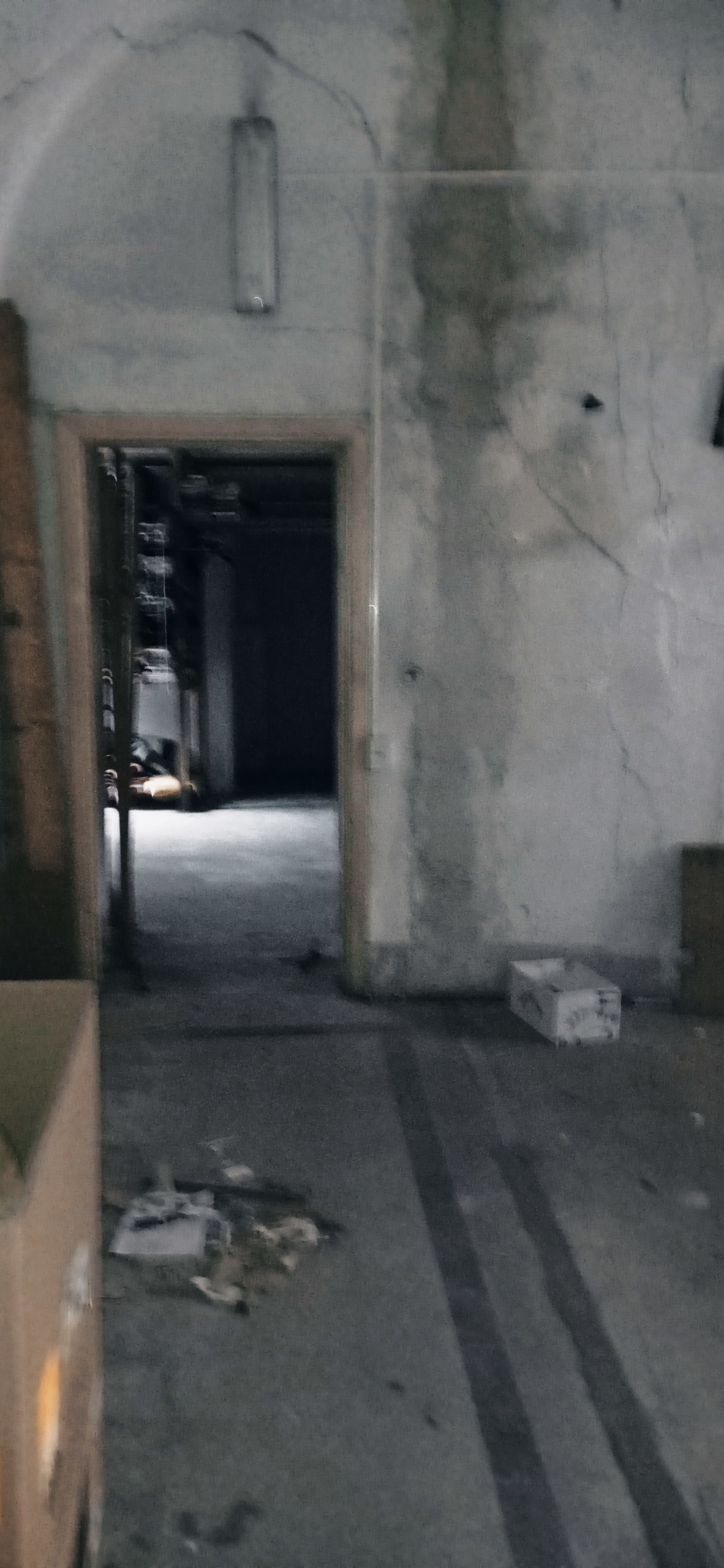 Immagine 2 di Laboratorio in vendita  in Via Corte Puccinelli a Lucca