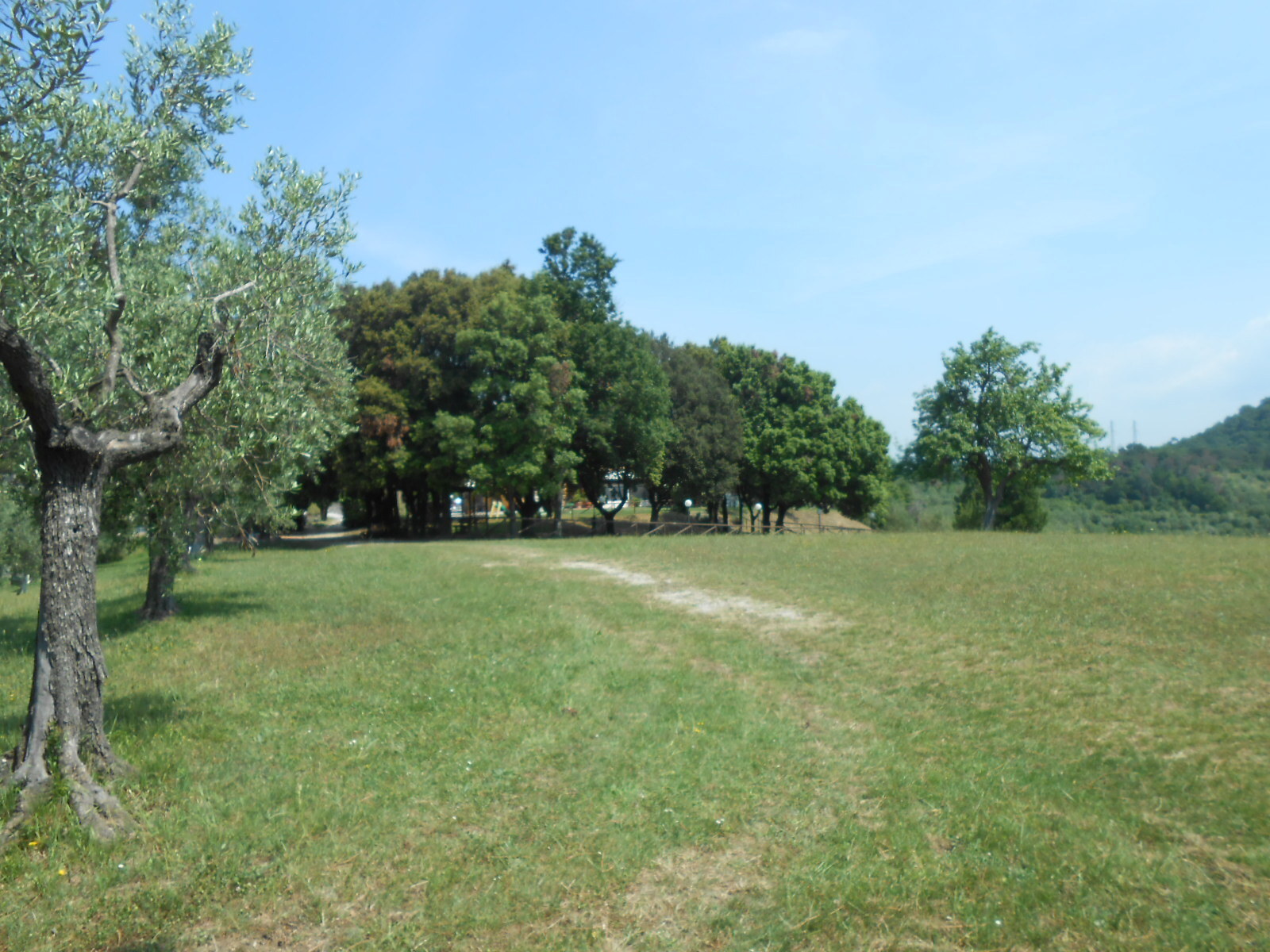Immagine 37 di Rustico / casale in vendita  in Via per massaciuccoli a San Giuliano Terme