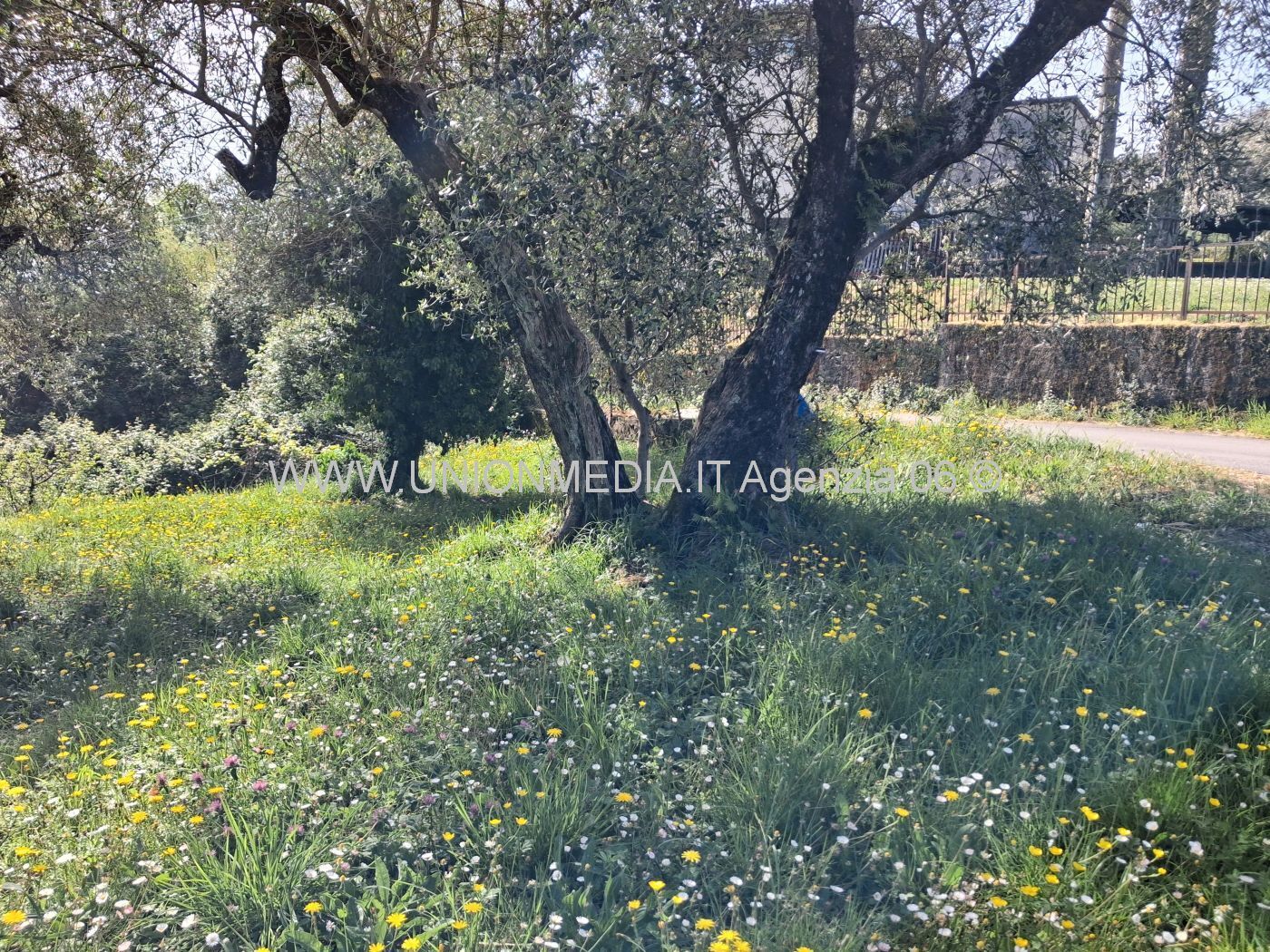 Foto annuncio 1