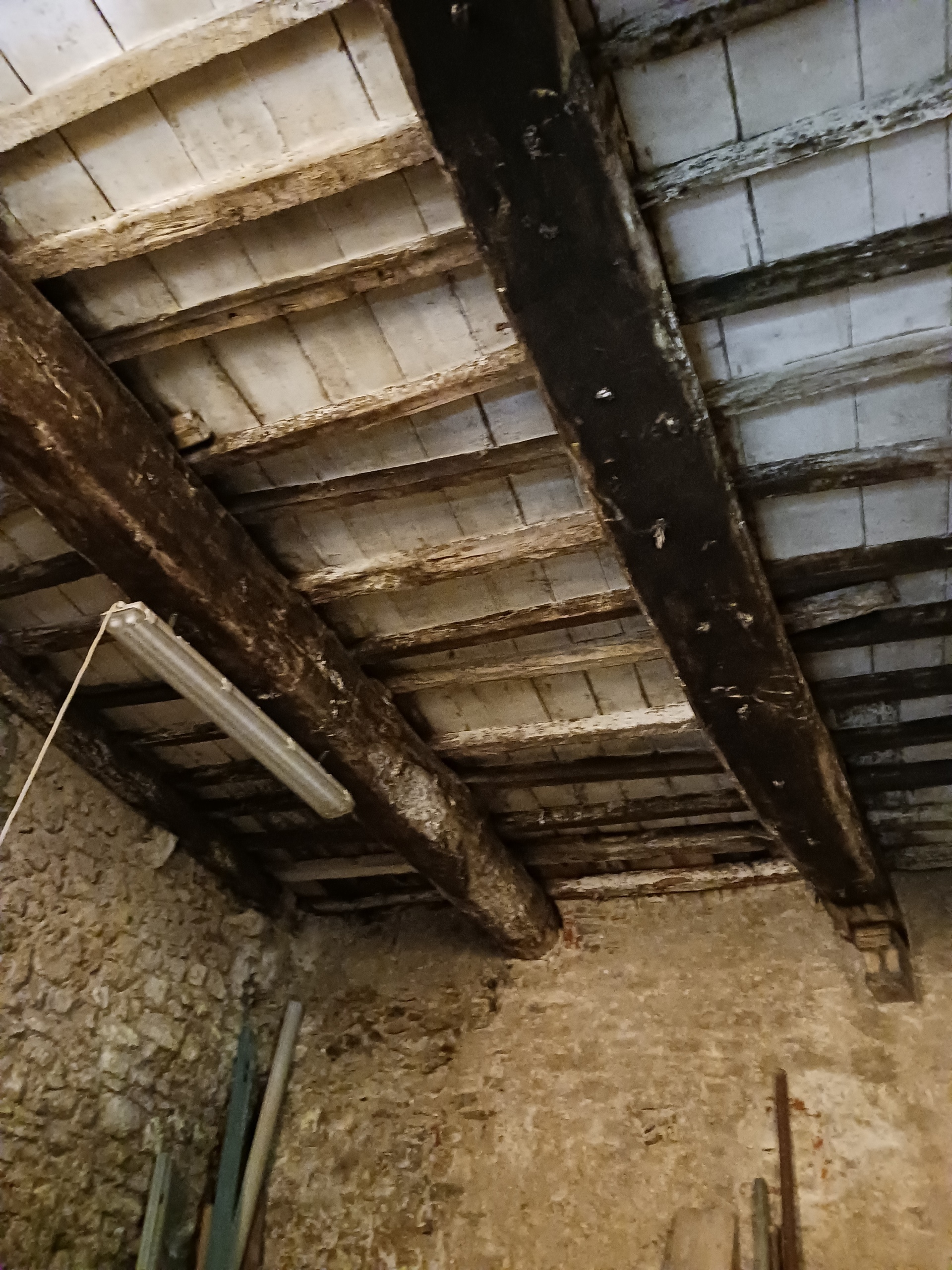 Immagine 6 di Casa semindipendente in vendita  a Arcola