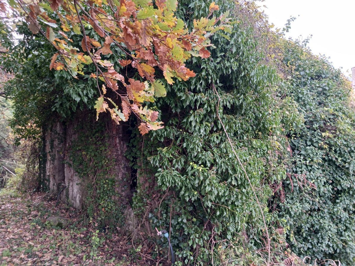 Immagine 8 di Casa indipendente in vendita  a Arcola