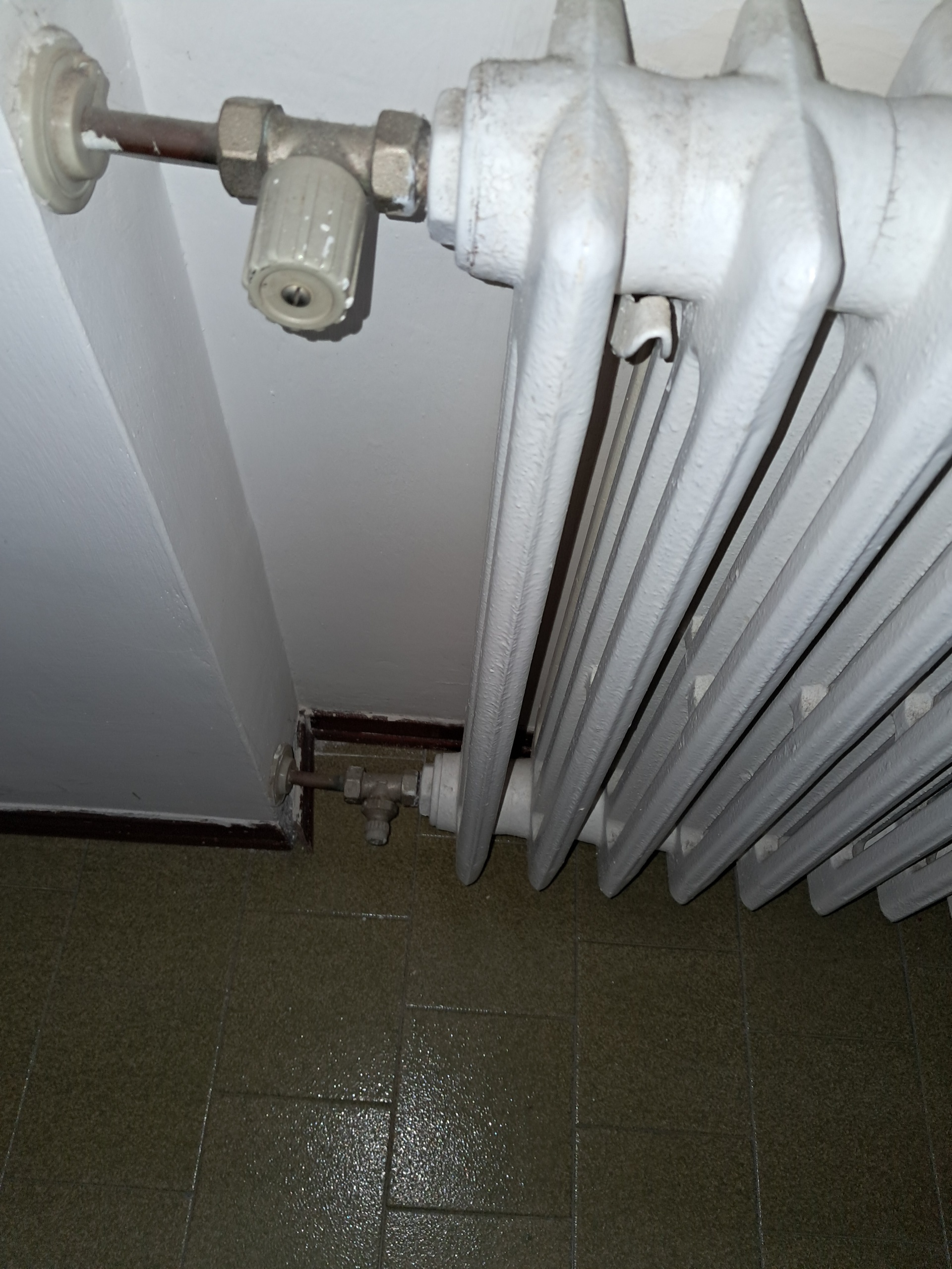 Foto annuncio 11