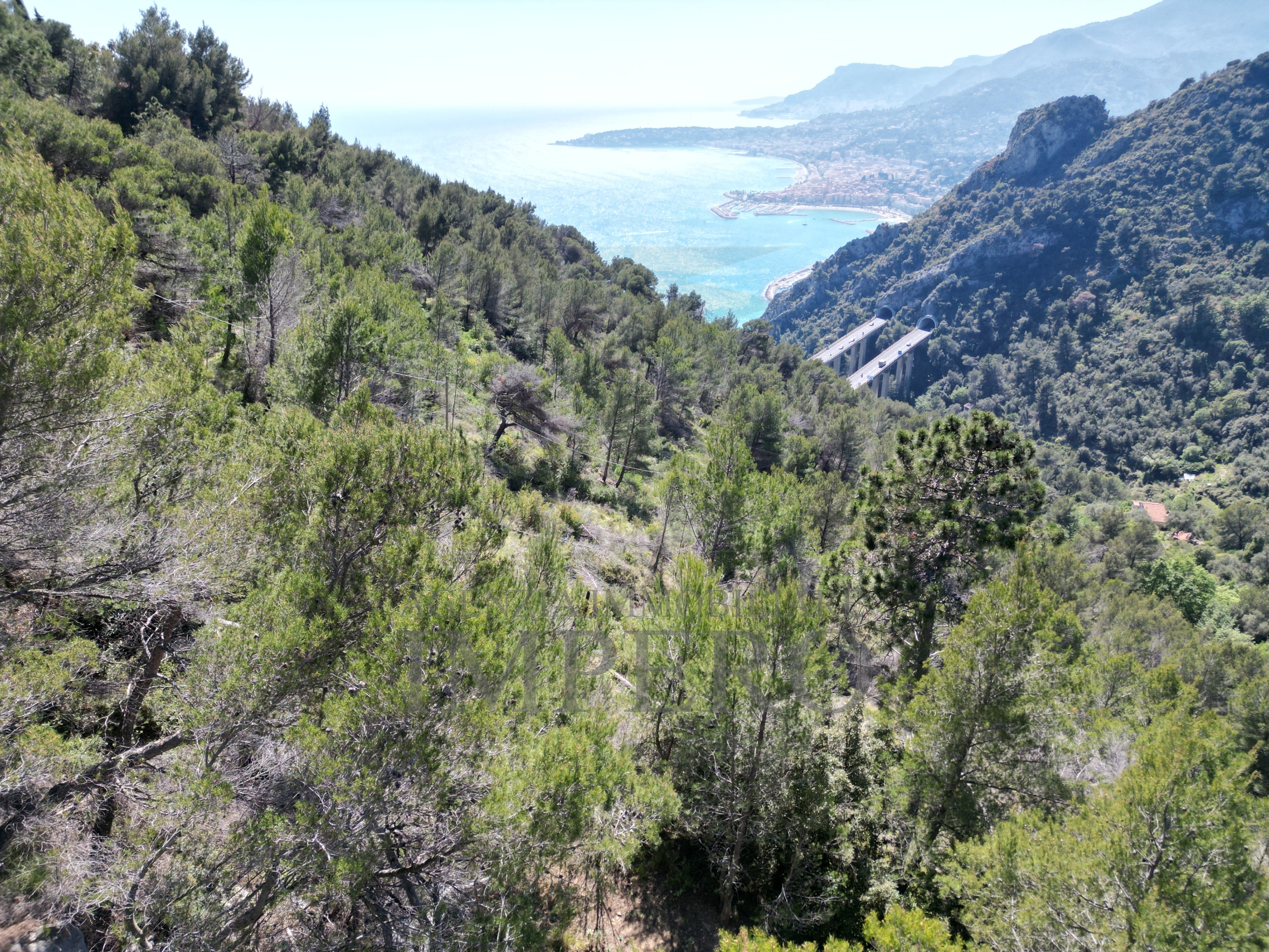 Foto annuncio 38