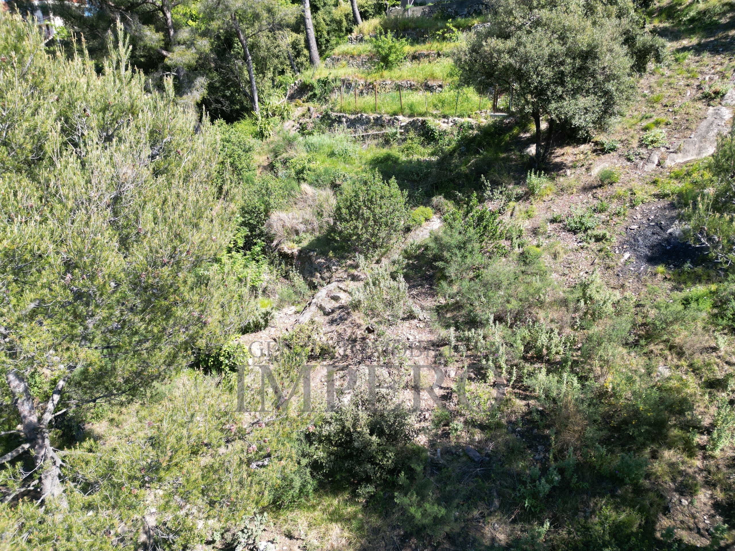 Foto annuncio 44