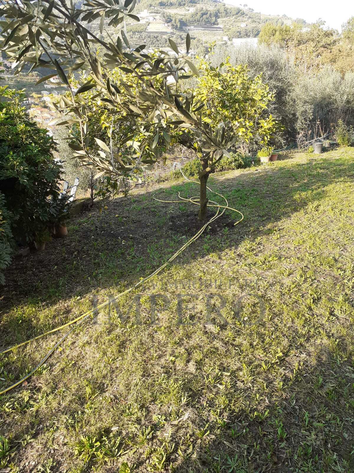 Foto annuncio 20