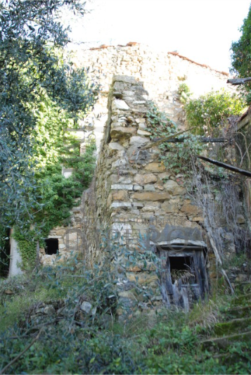 Foto annuncio 6